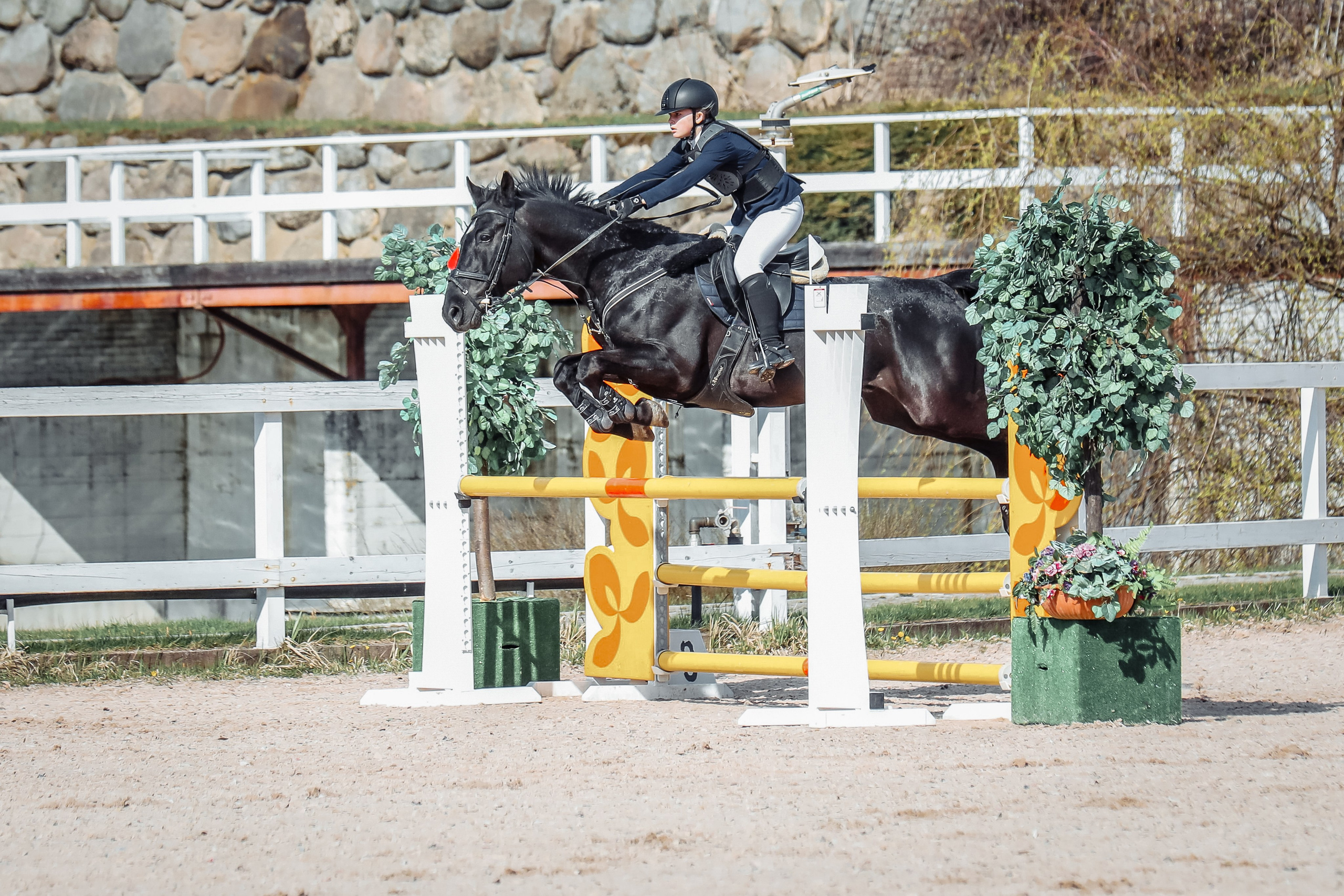 Лошади Евы Демидовой. Ева Демидова. Спортсмен по конкуру в Санкт-Петербуре