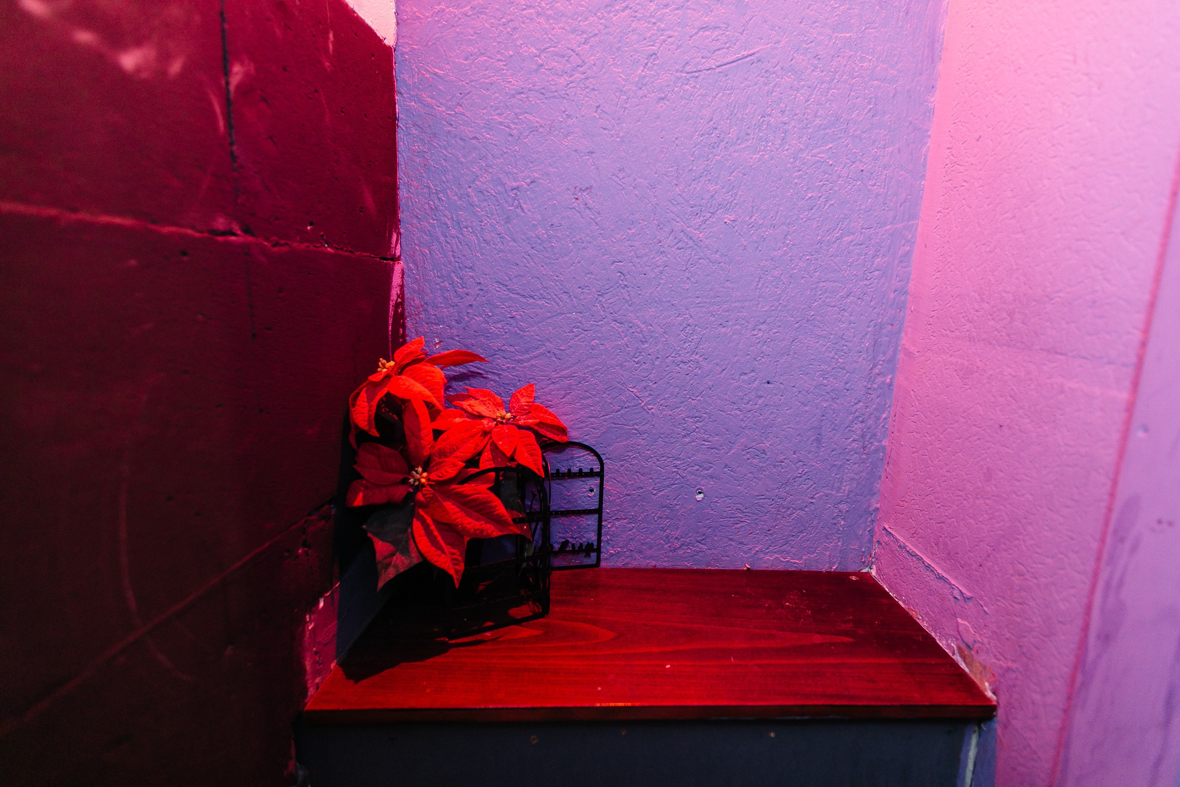 Мичурина, 12а (лофт). Душевный фотограф Ваших самых ярких событий Марина Погребняк