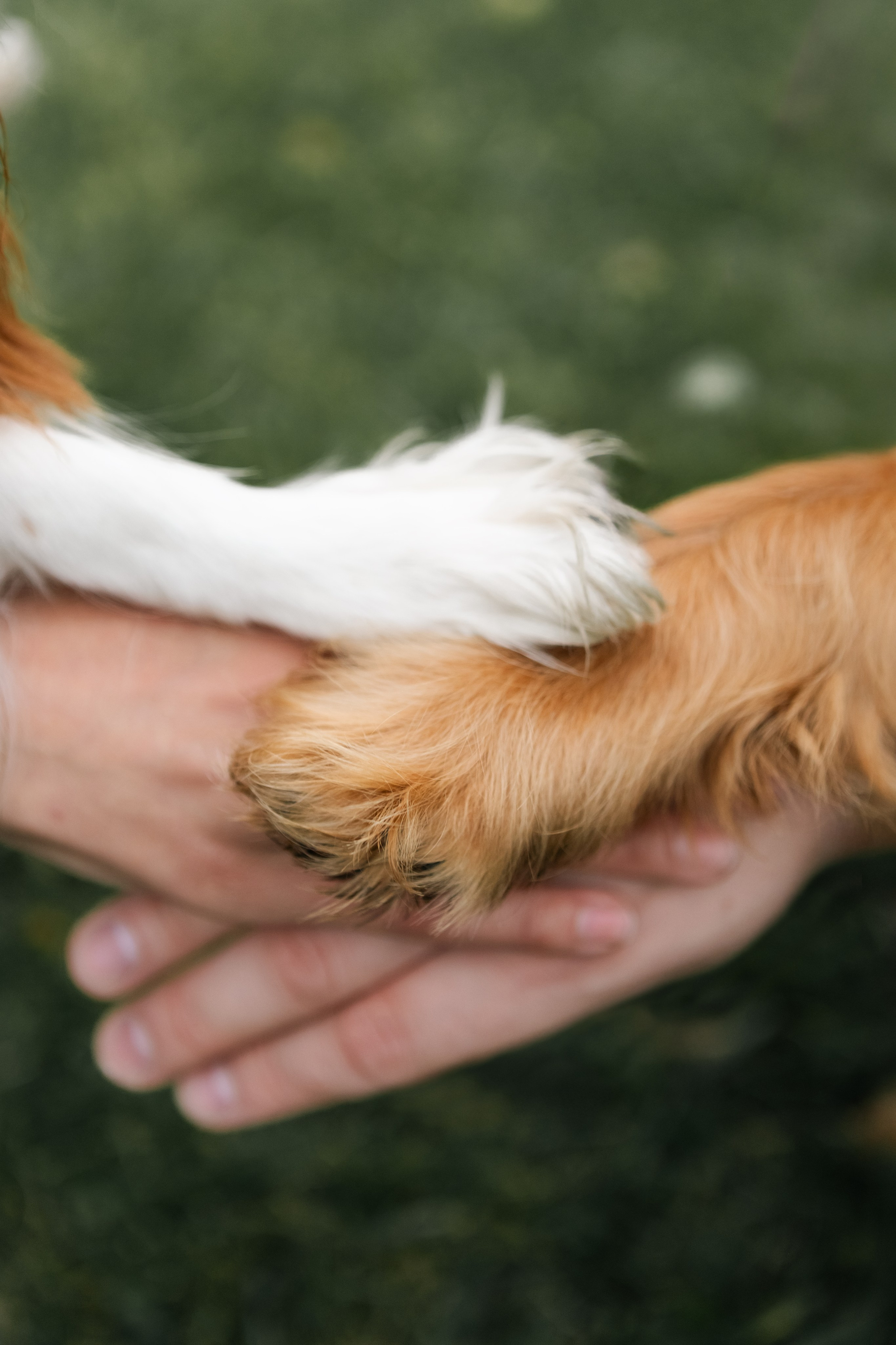 Лавстори. Портретный фотограф в Москве Анастасия