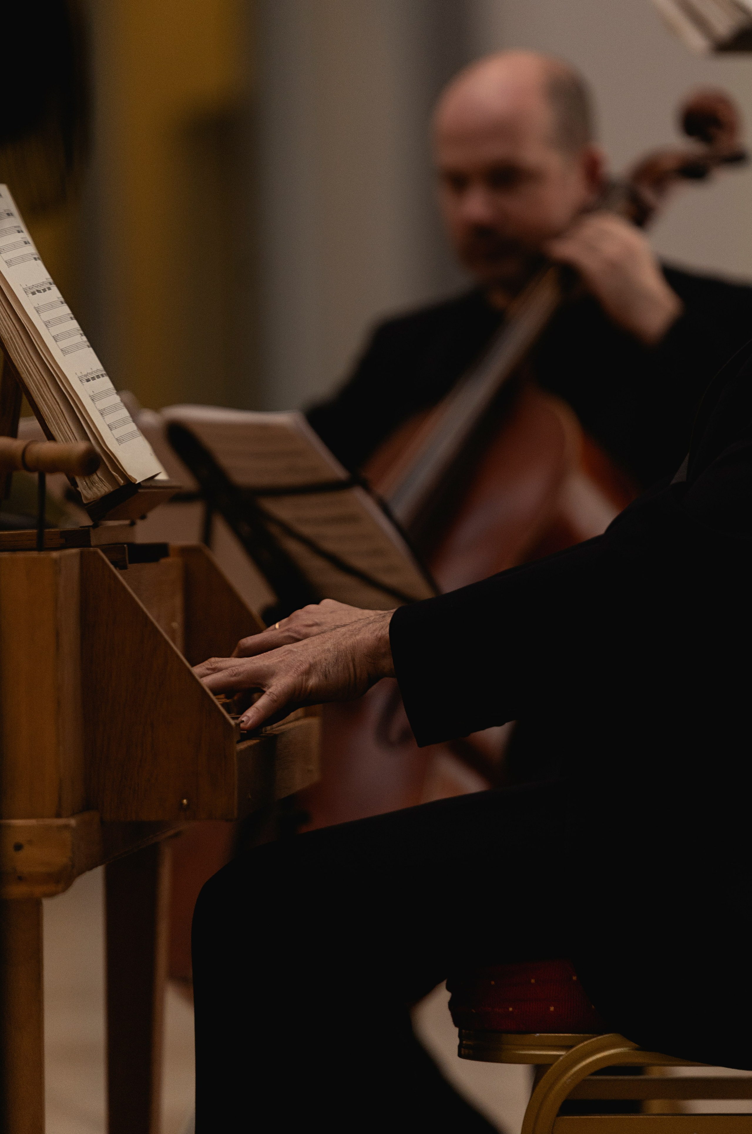 The State Hermitage Museum. Divertissement Chamber Orchestra. Фотограф Ирина Соколенко Санкт-Петербург