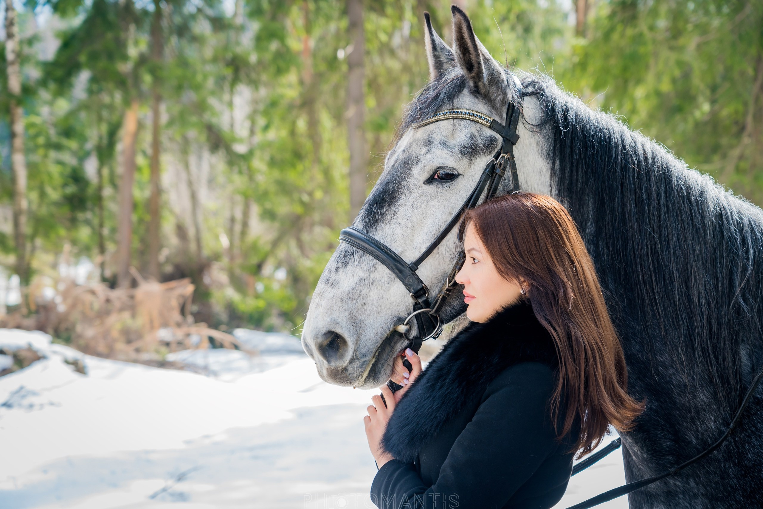 Девушки с лошадками. Photomantis