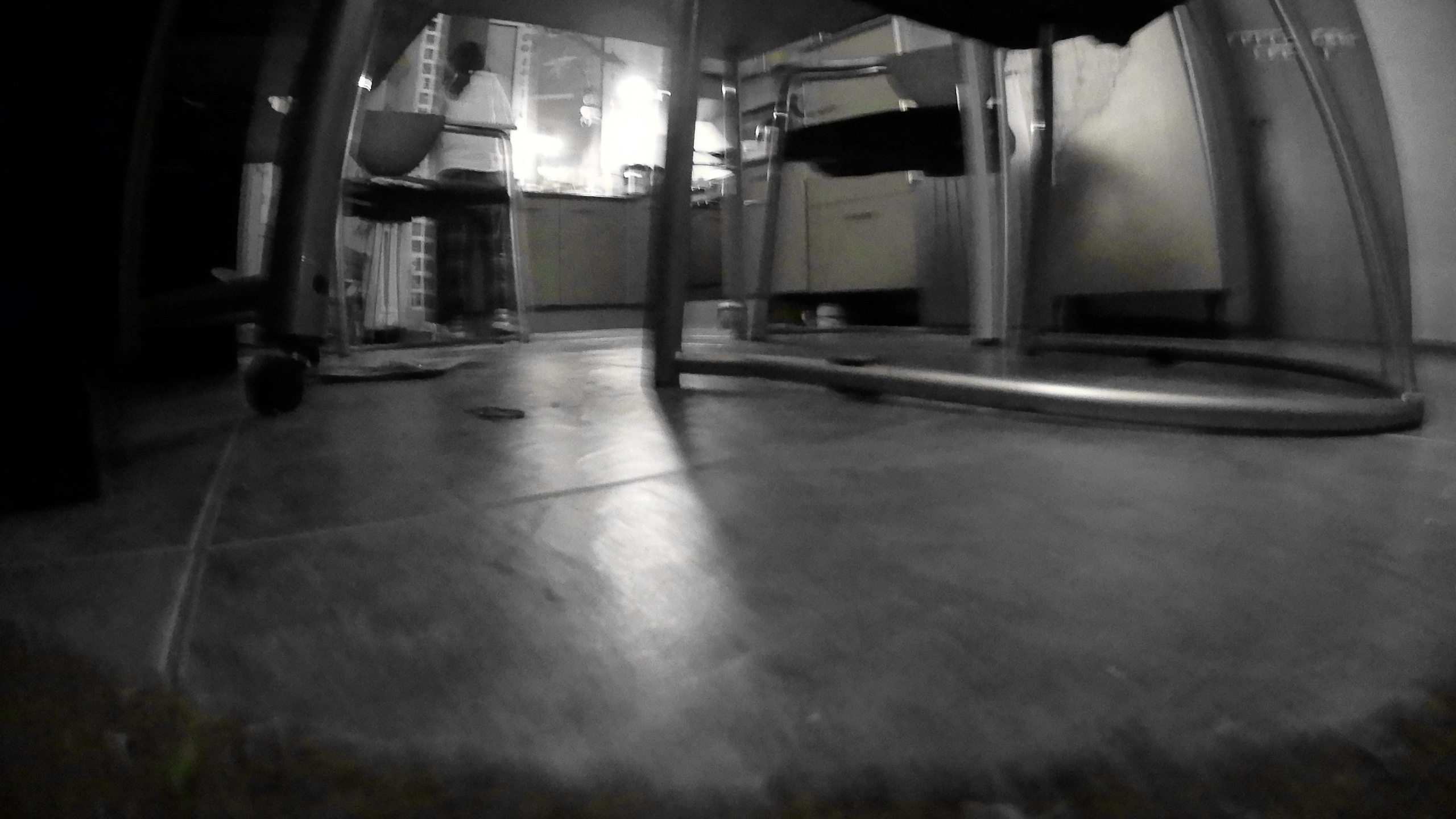 Гости. Fedor Kalinin