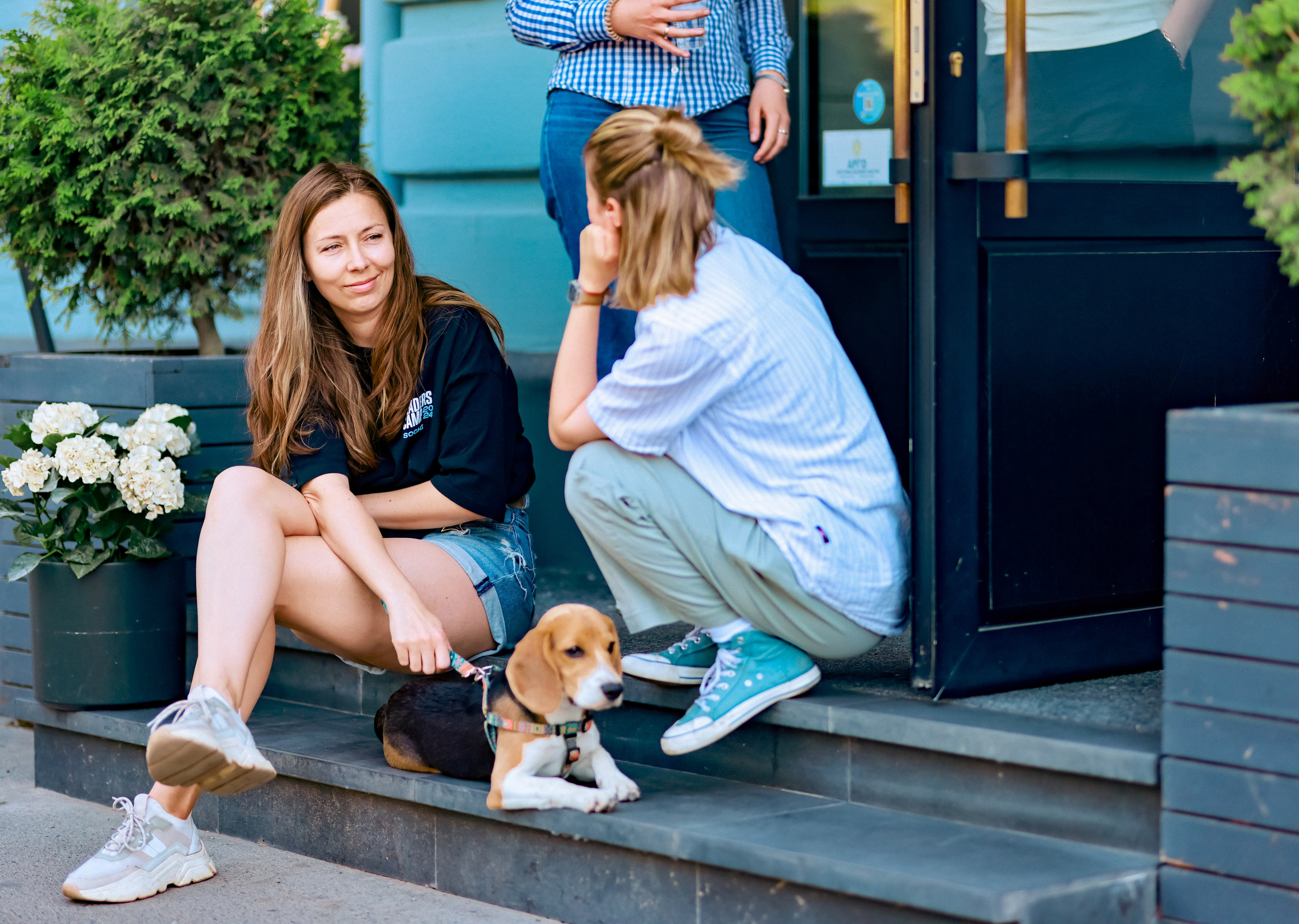 Собачки на улицах городов. Фотограф репортажей и стритфотосессий в Москве Людмила Смирнова