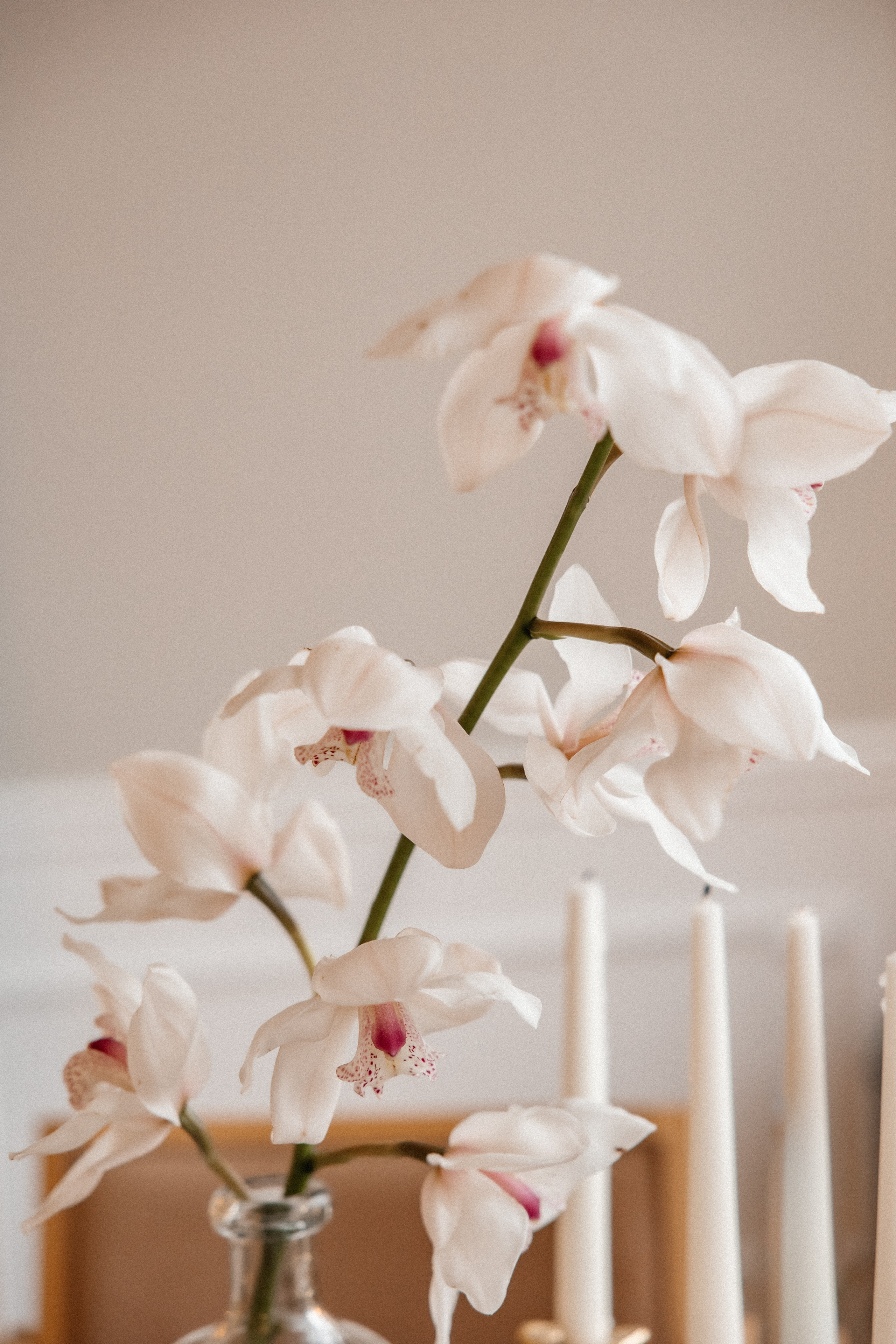 Ира и Инель. Светлана Ванцлав — фотограф Минск, Беларусь