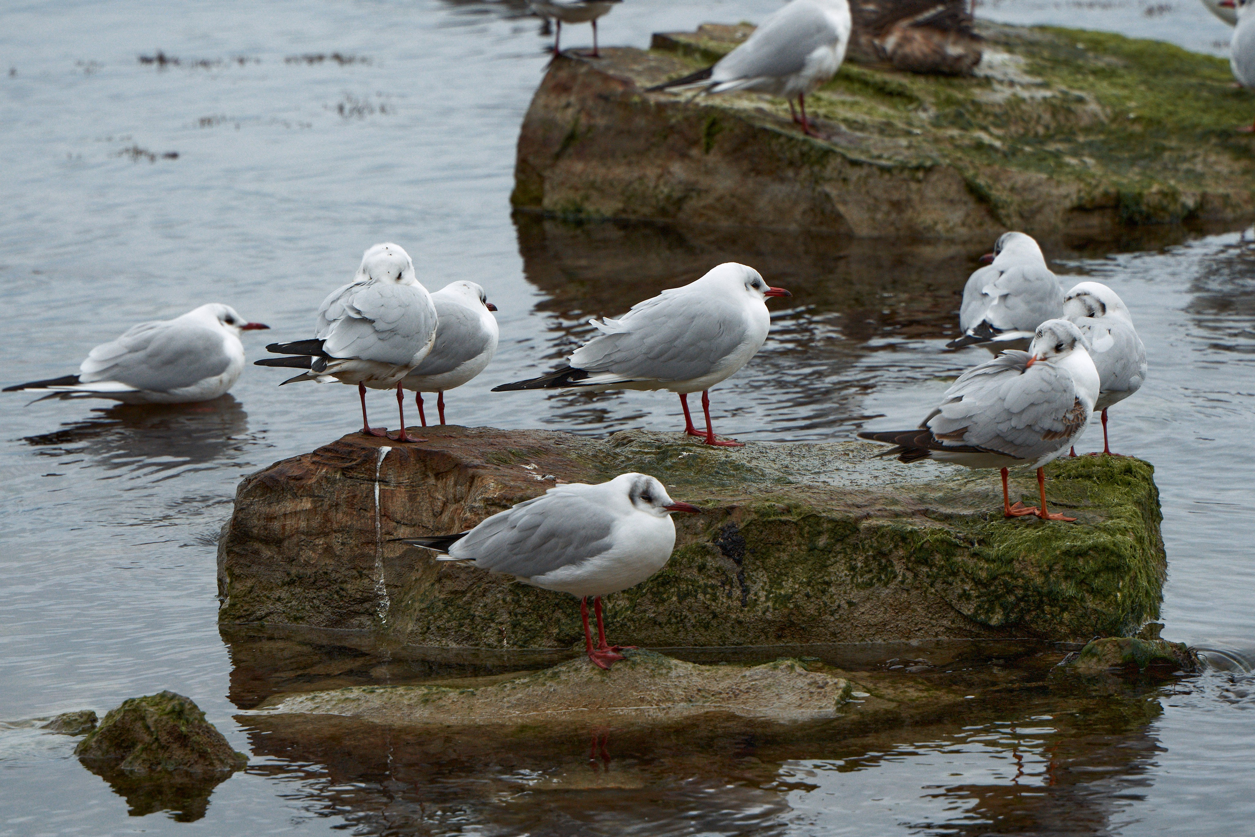 Фотографии улиц и пляжей Анапы. Профессиональный фотограф в Анапе Артем Ковальский