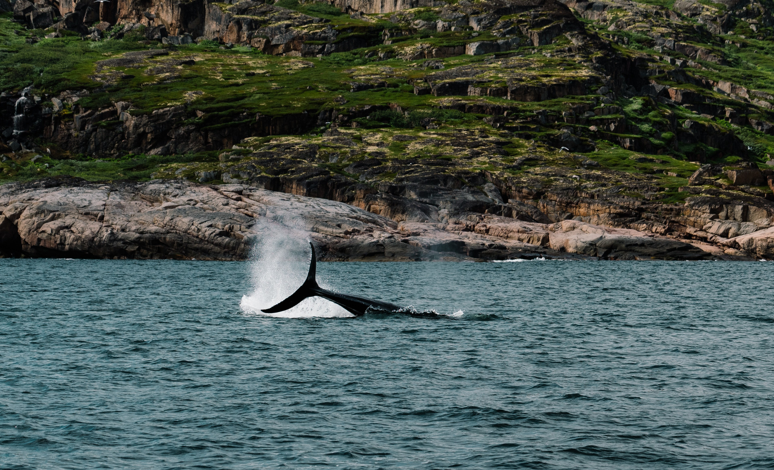 ТЕРИБЕРКА. Создание контента | Фото | Видеосъемка | Александр Ярков