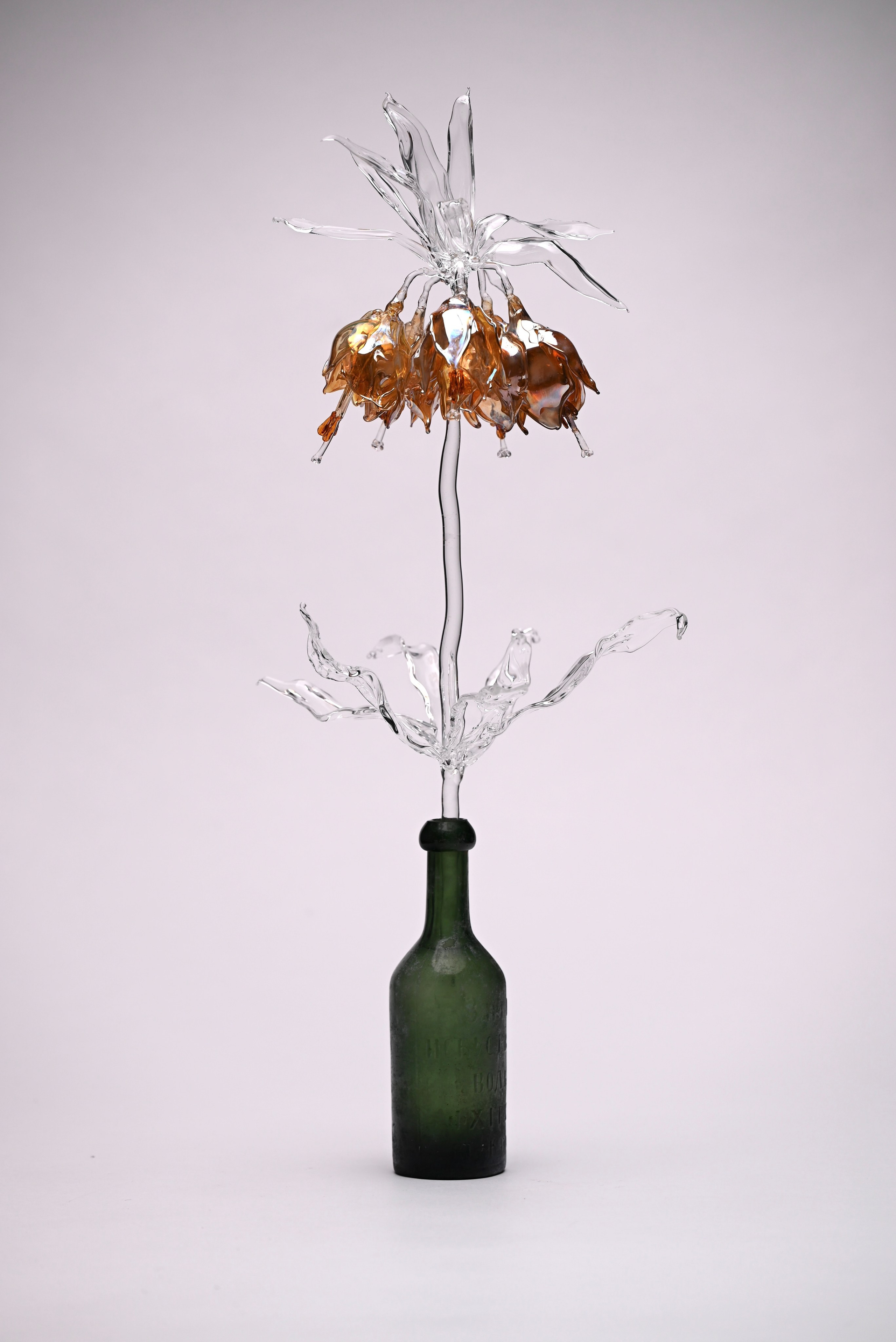 Рябчик императорский. Home