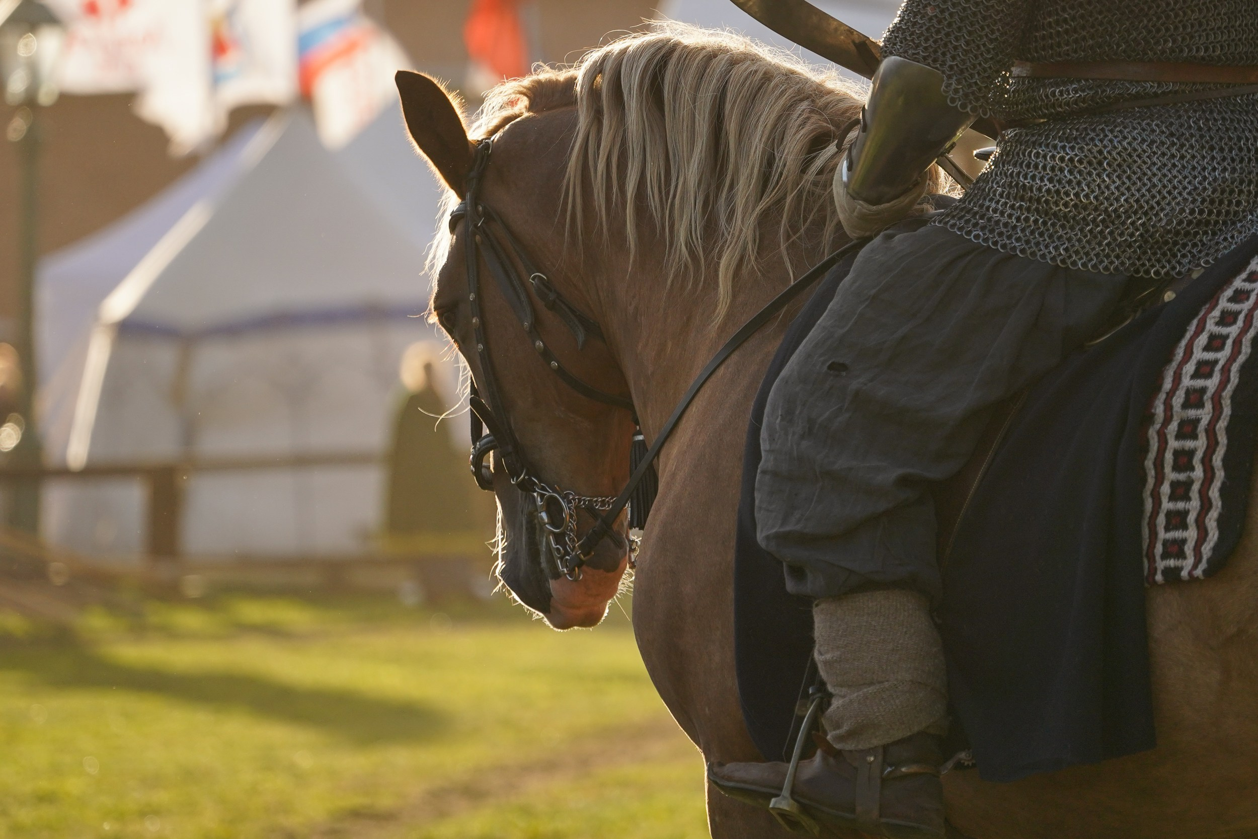 Рыцарский турнир в рамках фестиваля «Битва на Неве» Санкт-Петербург 2024 г. Фотограф-анималист, портретный фотограф в Чебоксарах Мария Садыкова
