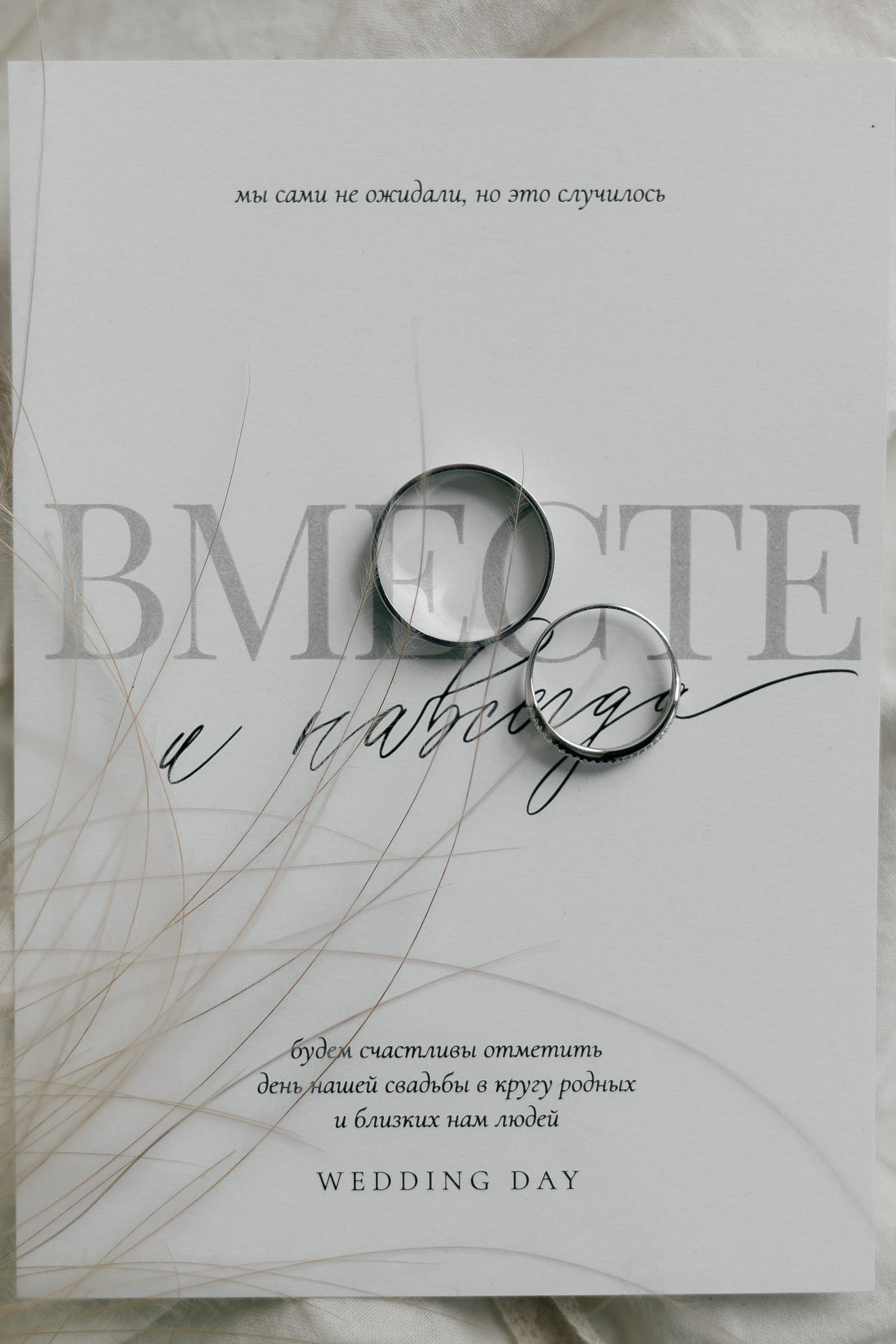 N & L. Фотограф Ольга Сапронова. Свадебный фотограф Ольга Сапронова