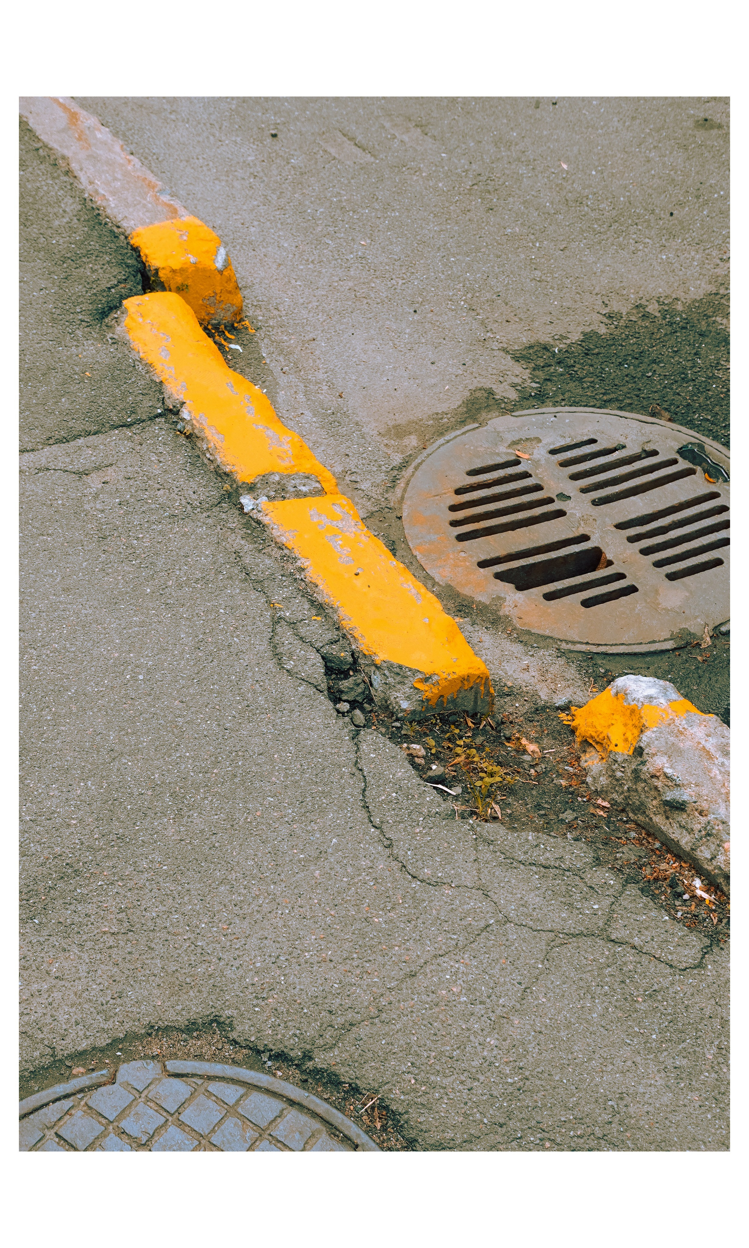 Санкт-Петербург. Фотограф Алиса Аспер