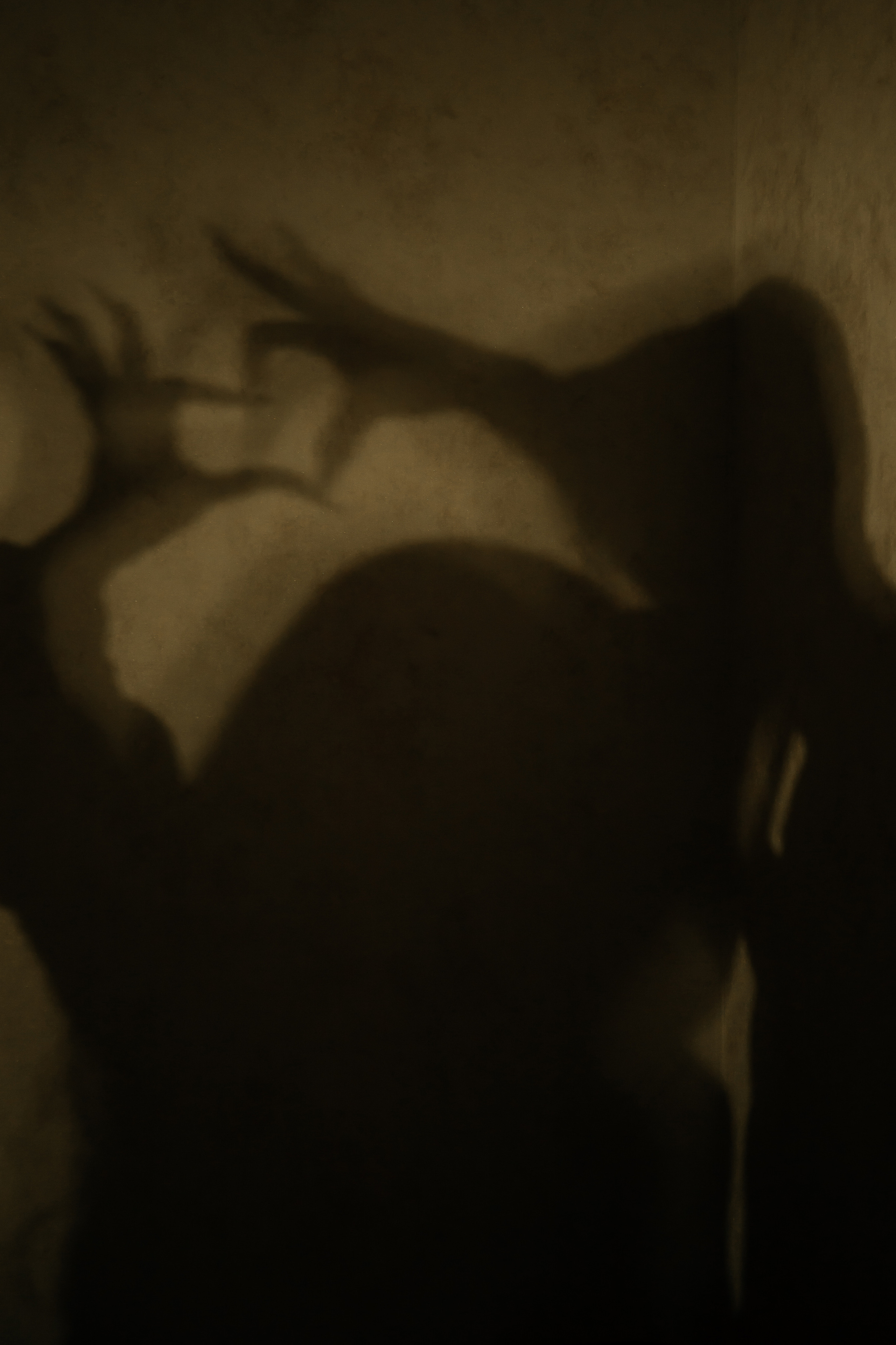 ARTEM & LERA. Свадебный и семейный фотограф Нурлыхан Алимбеков