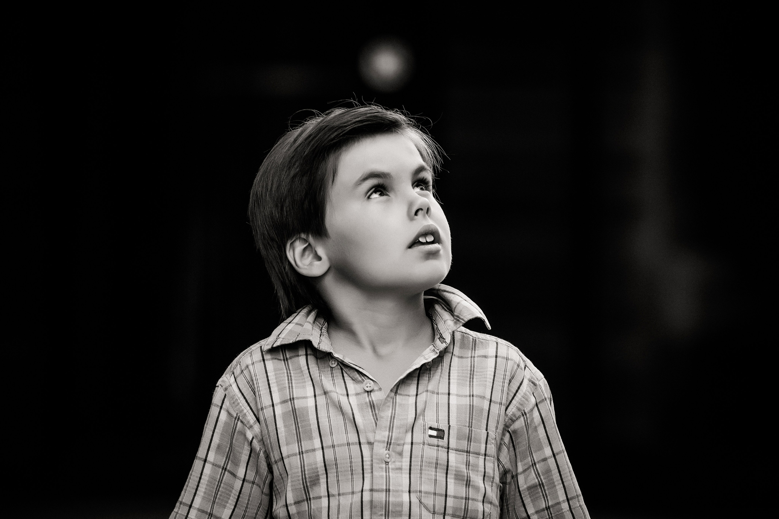 Лев. Свадебный и семейный фотограф в Москве и Подмосковье Лариса Козлова