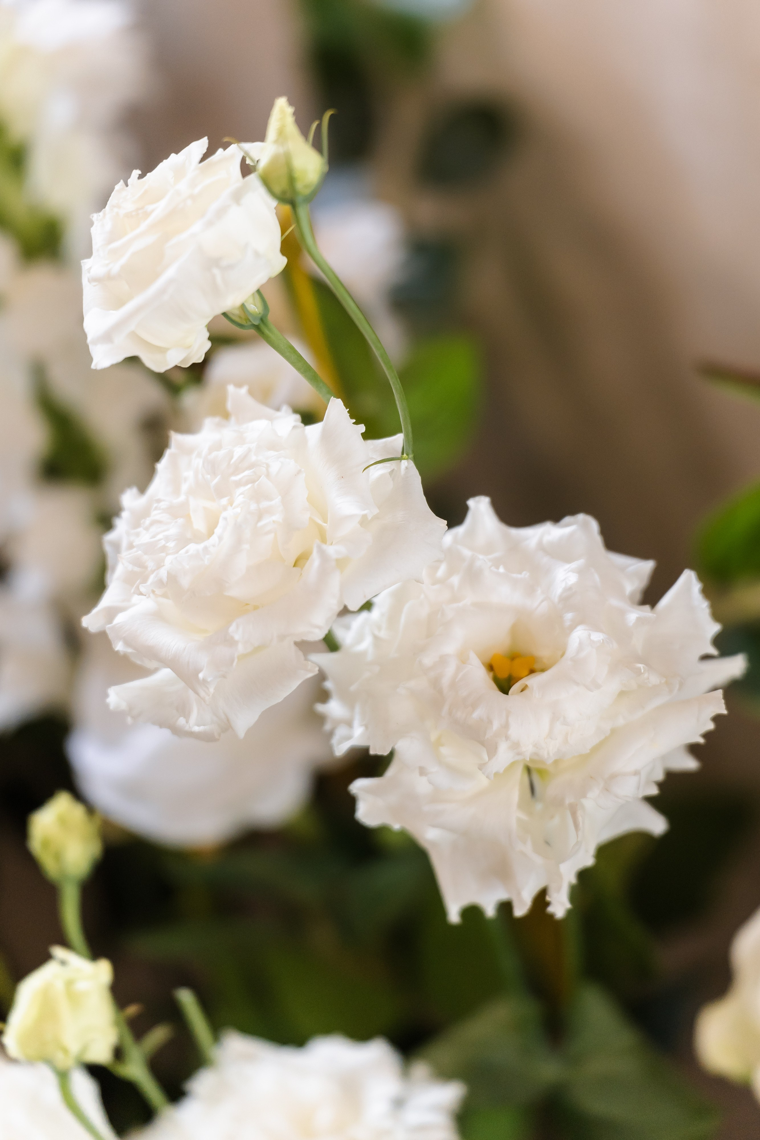 Свадьба Дмитрия и Маргариты. Свадебный фотограф в Москве Яна Деньгина