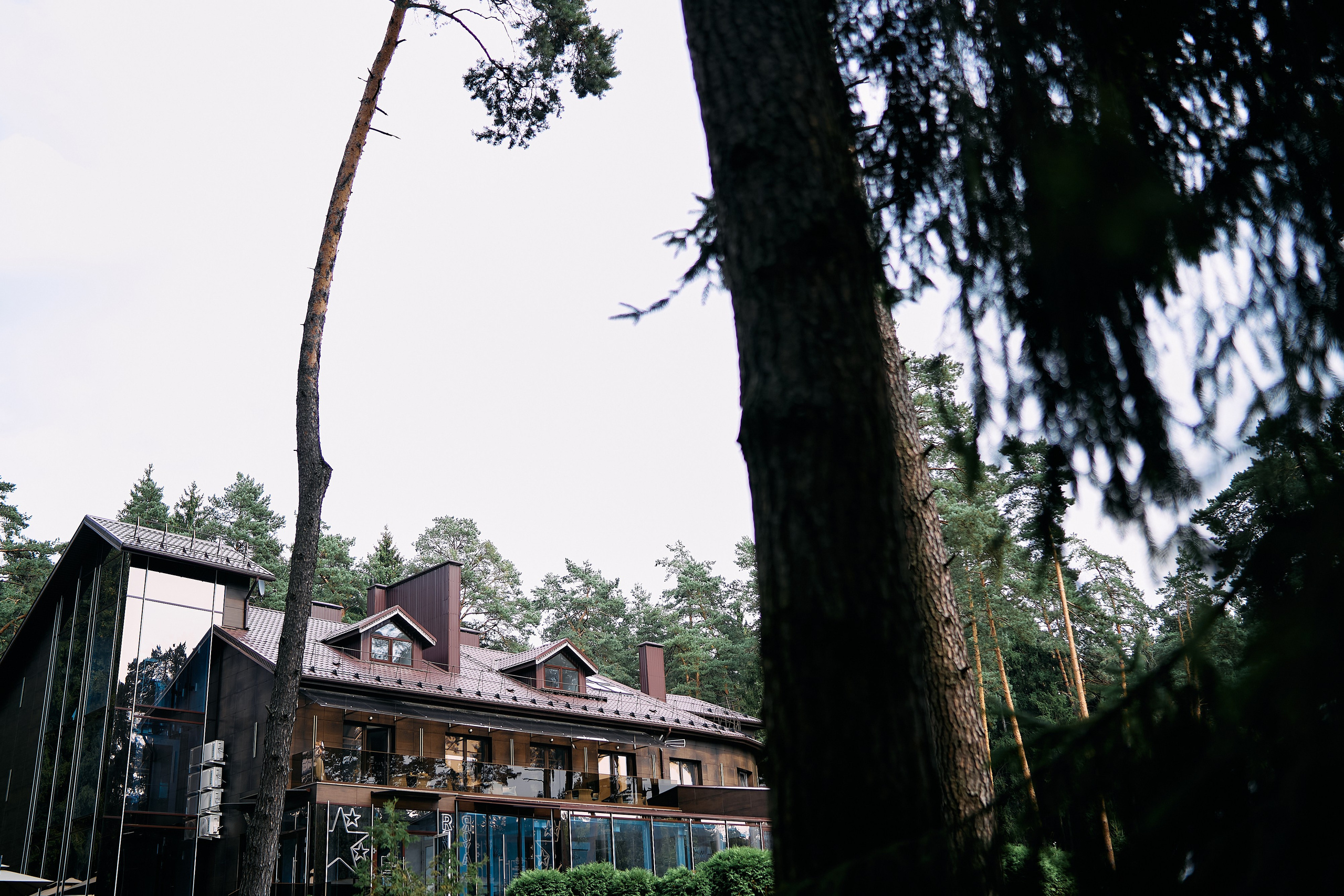 Алина и Денис. Свадебный фотограф Минск РБ