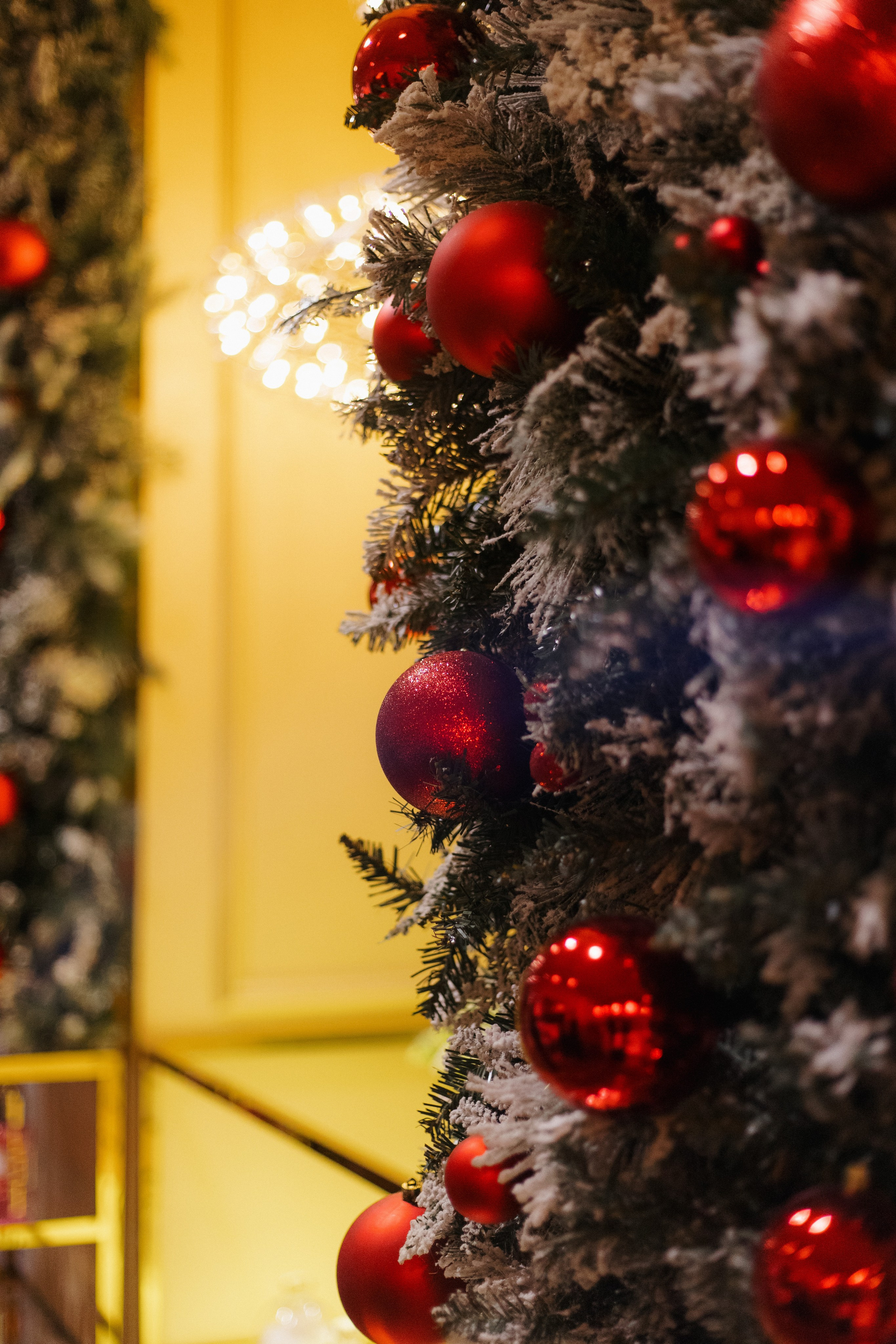 PROBIRKA21 — CHABAUD. СВОИ. ФОТООТЧЕТЫ-СОБЫТИЯ-МЕСТА