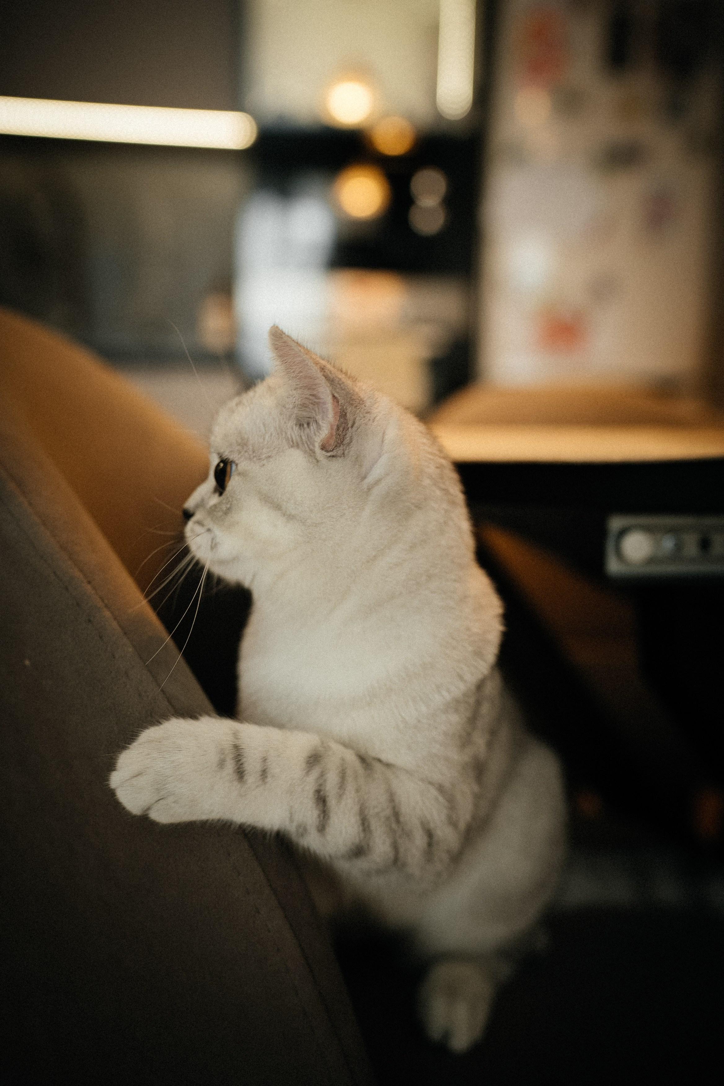 Семья Ксении и Максима. Фотограф | Юлия Арт| Обучение