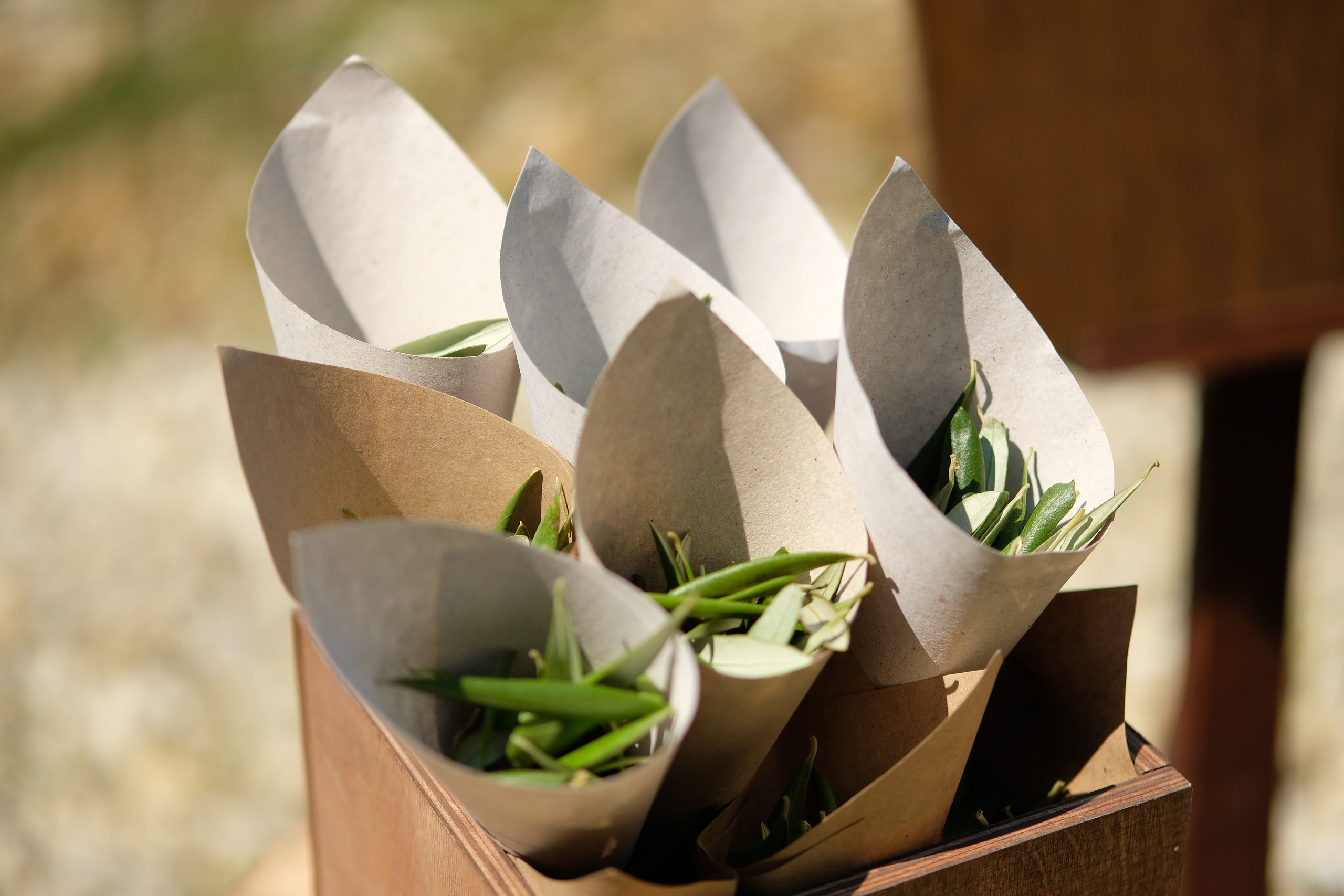 Павел и Мария. Свадебный фотограф в Краснодаре Андрей Тюменев