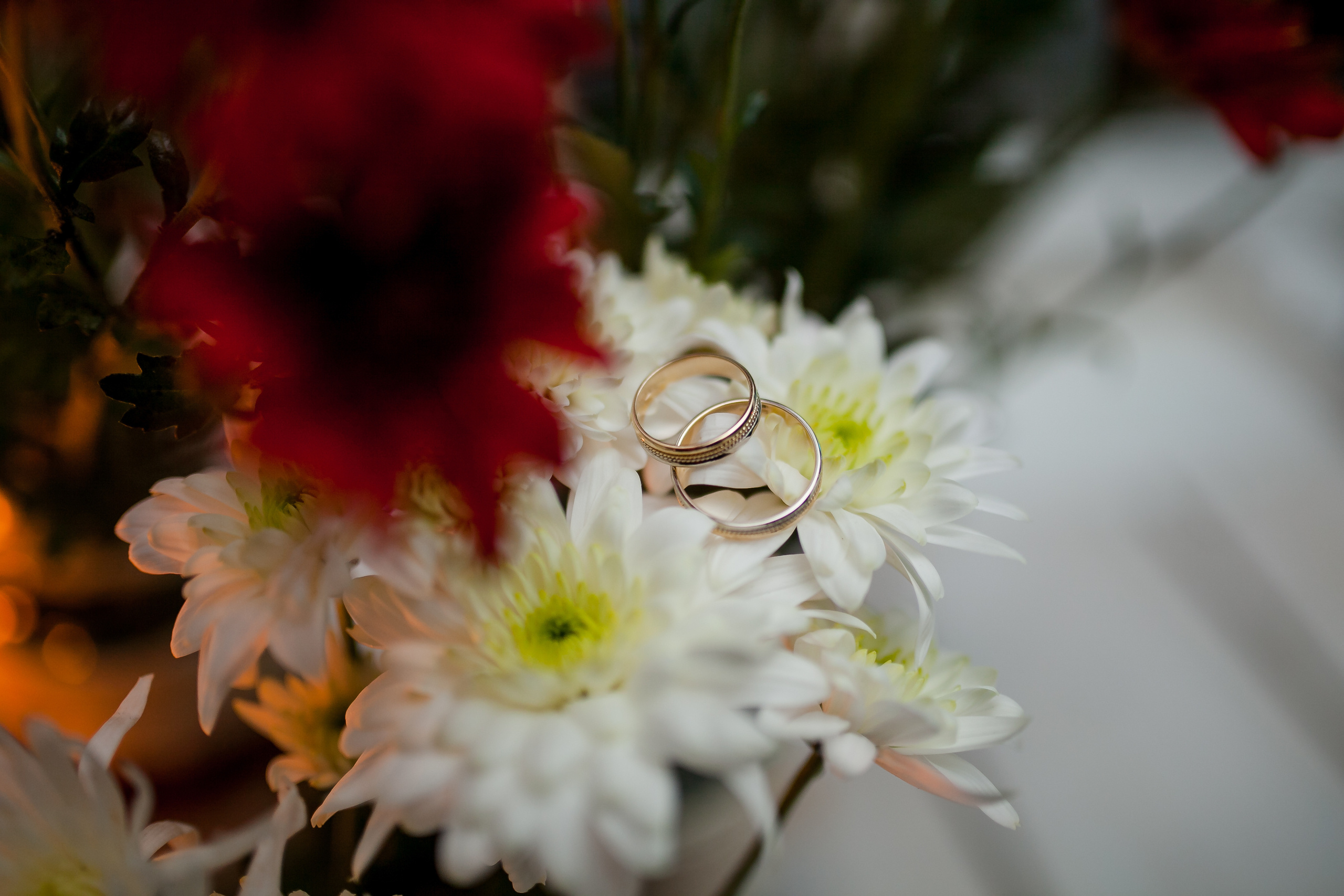 Роман и Анастасия. Свадебный фотограф в Краснодаре Андрей Тюменев