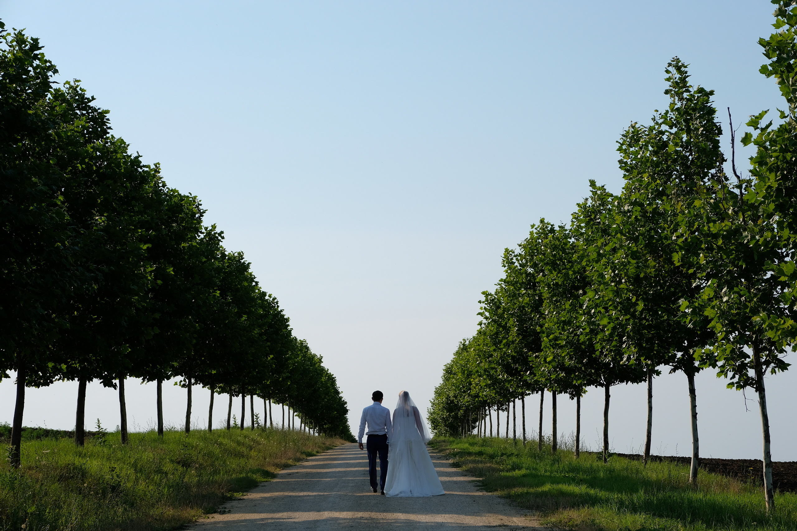 Павел и Мария. Свадебный фотограф в Краснодаре Андрей Тюменев