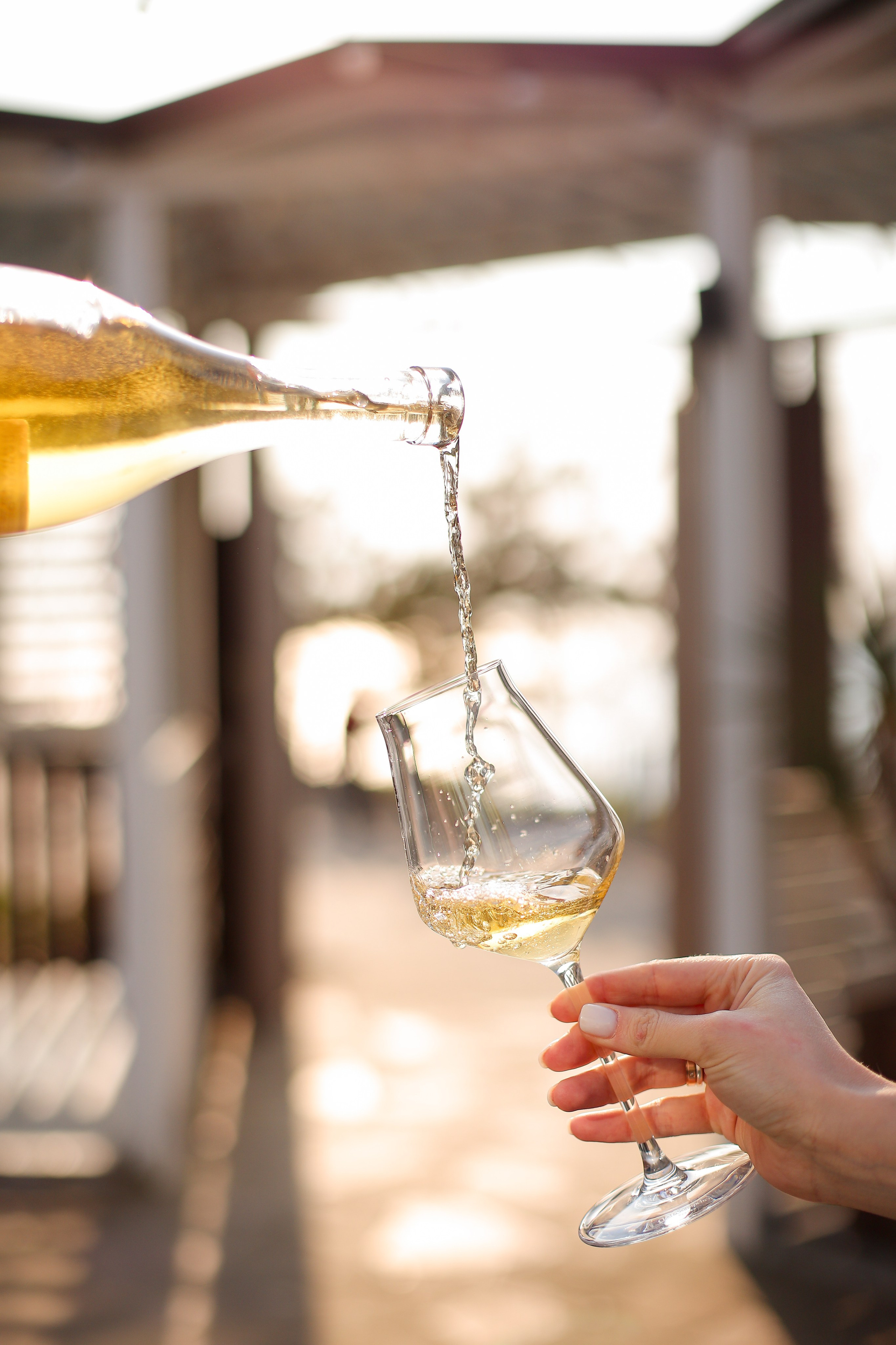 Контент общепит. Фотограф в Анапе и Геленджике