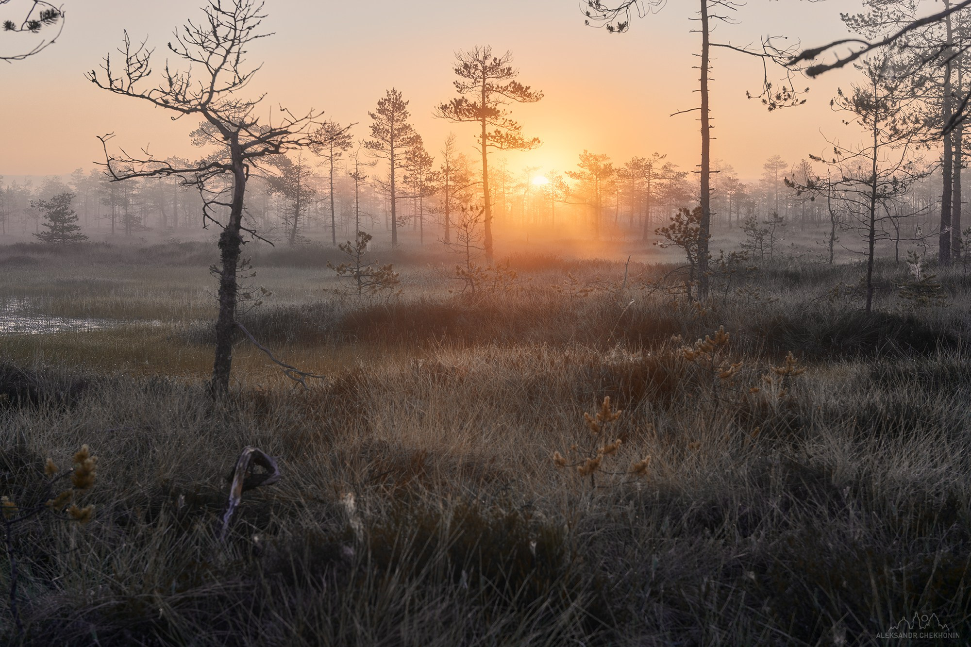 Пейзаж. Пейзажный фотограф Александр Чехонин