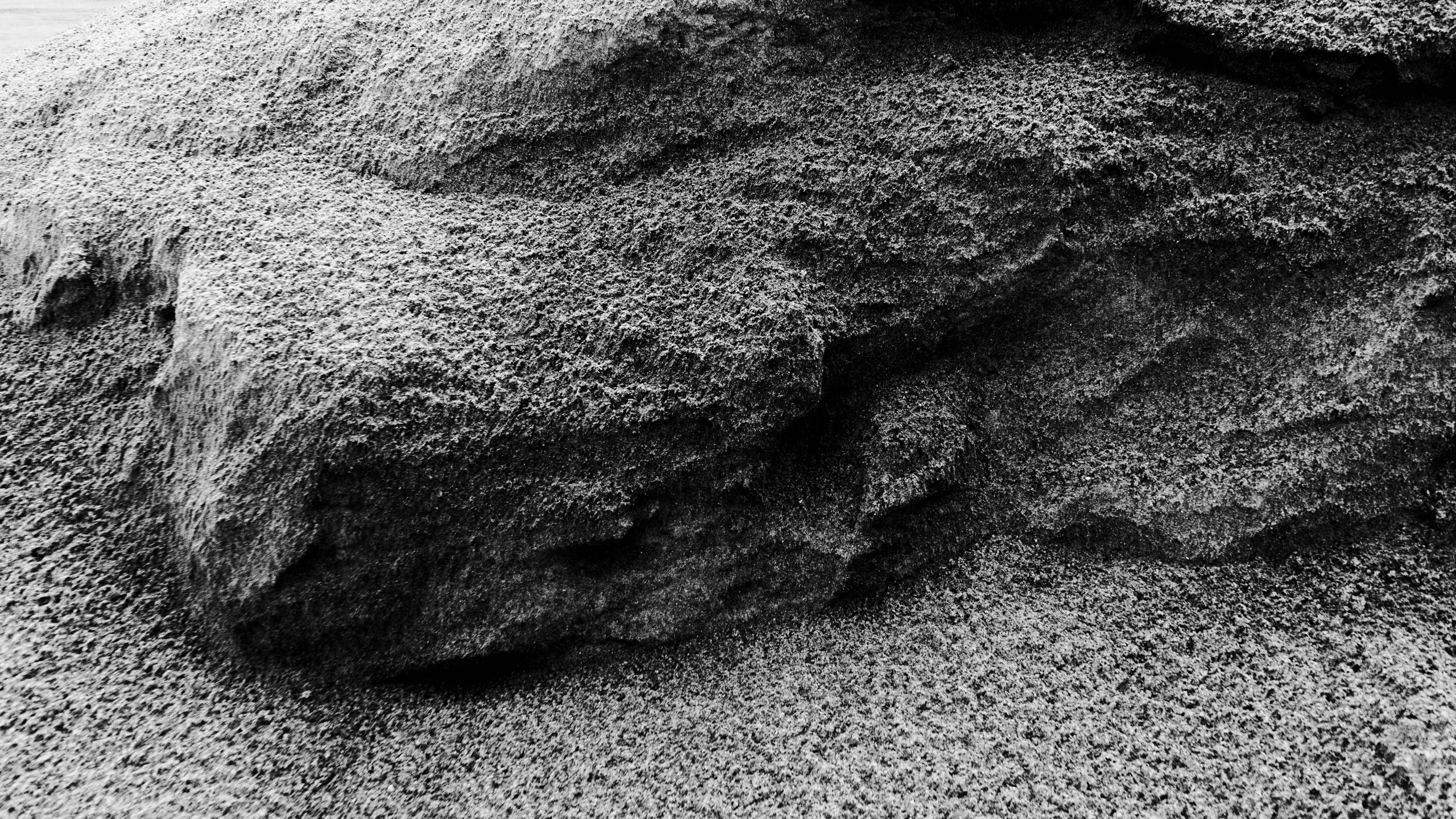 Natural Noir. Whoii art