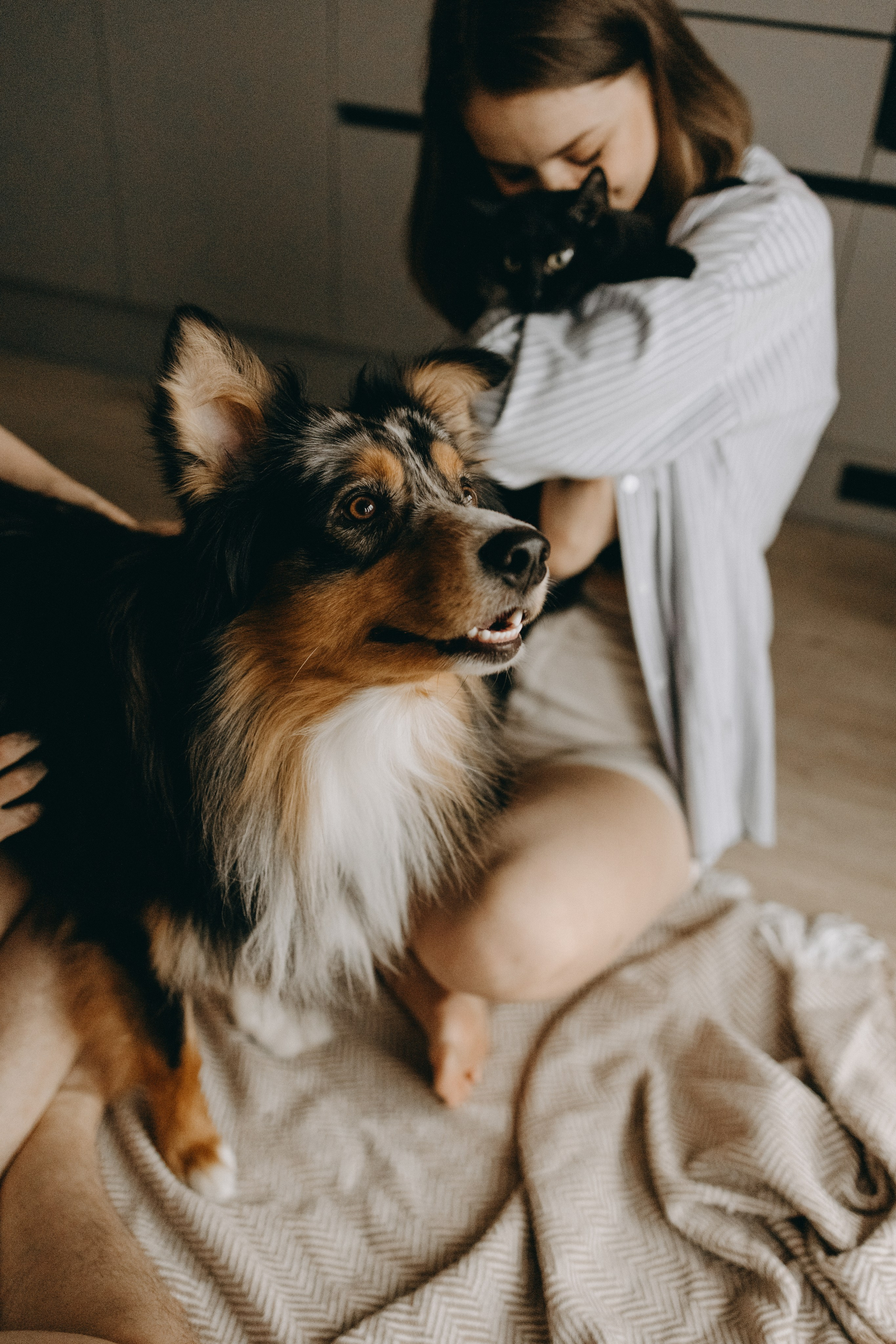 Настя, Никита и их Гром и Мяу. Фотограф — Анималист | Санкт-Петербург