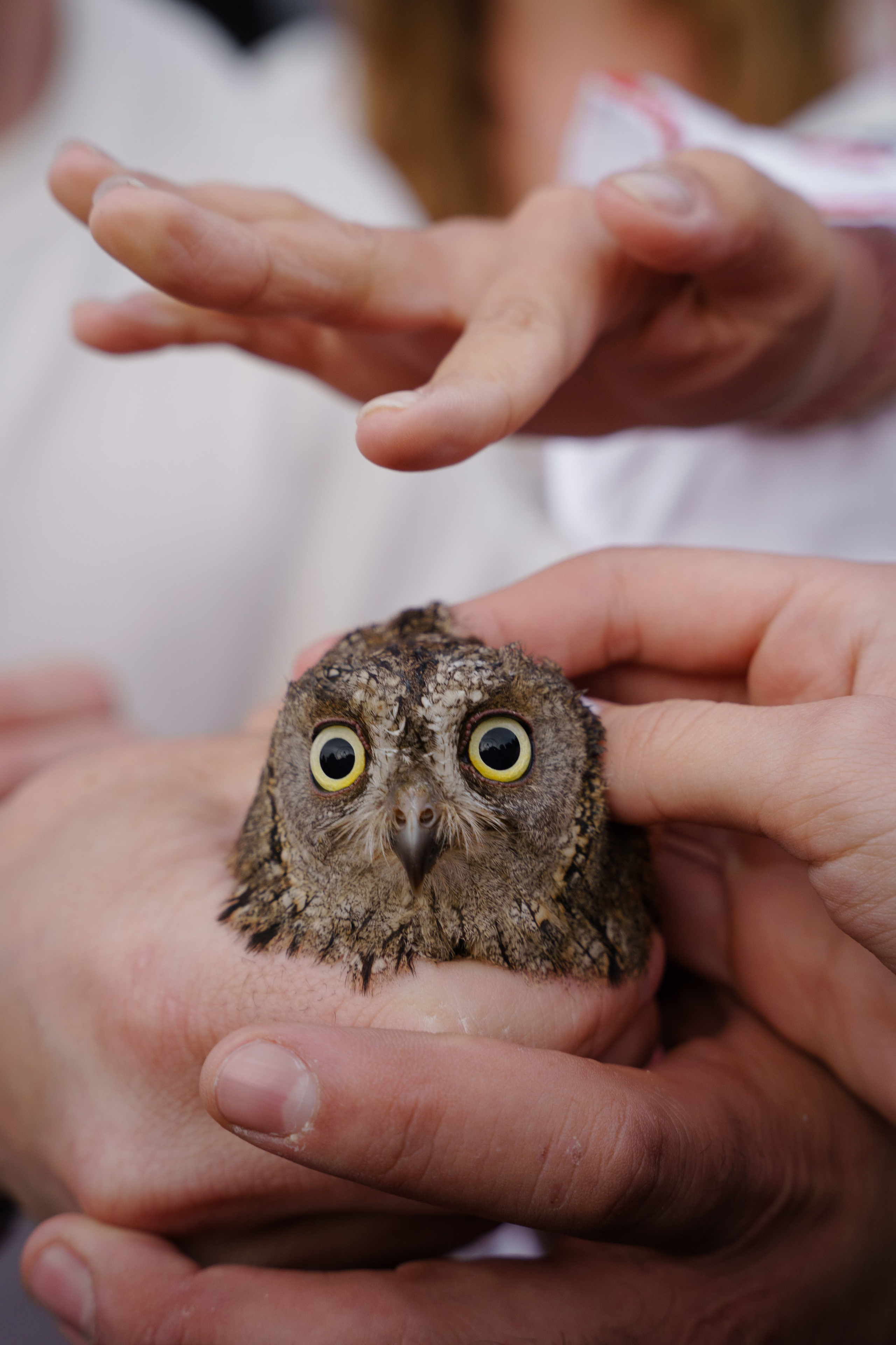 Гендер пати в славянском стиле. Репортажный фотограф в Москве Саша Дружинина