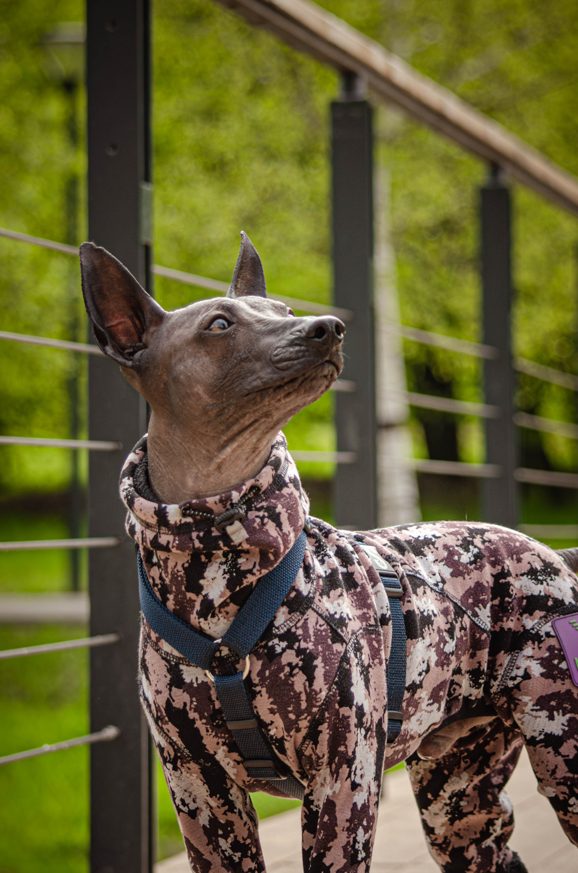 Сёма. Фотограф Светлана Блинова, Москва и Московская область