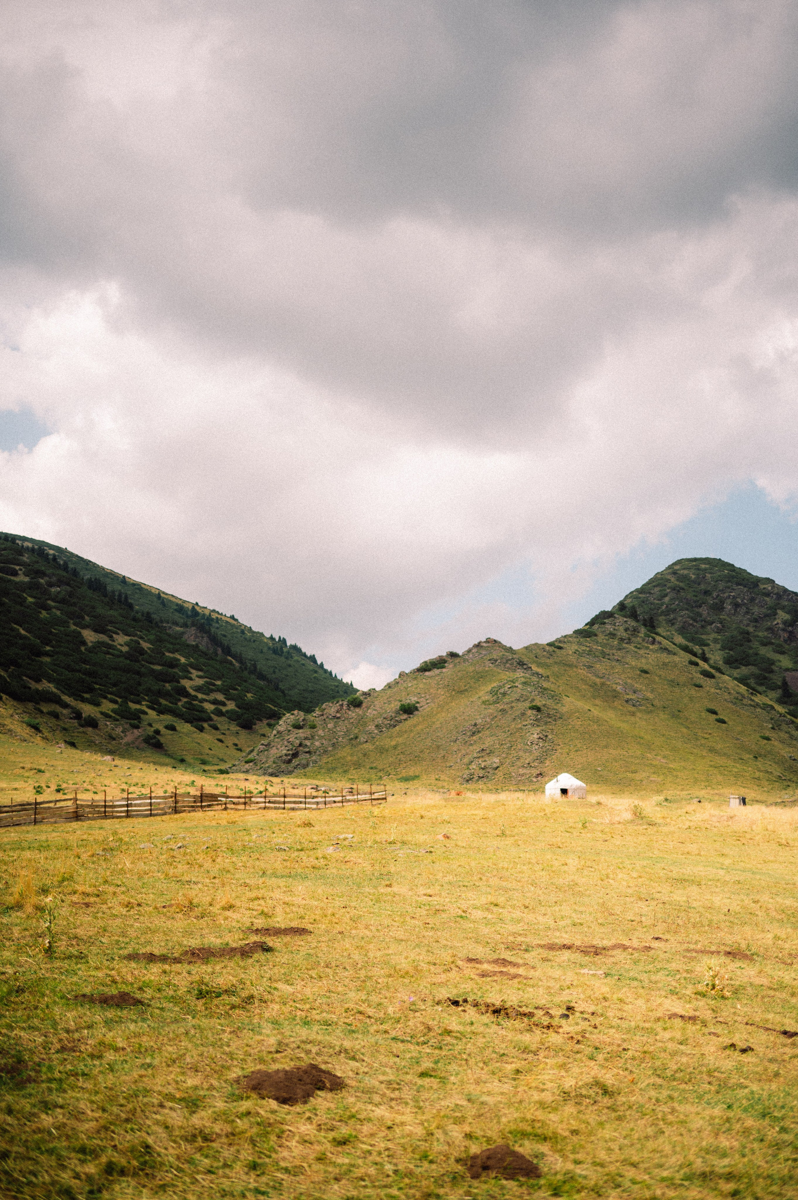 Плато Ассы: июль 2025. Фотограф в Алматы — Дарья Фёдорова