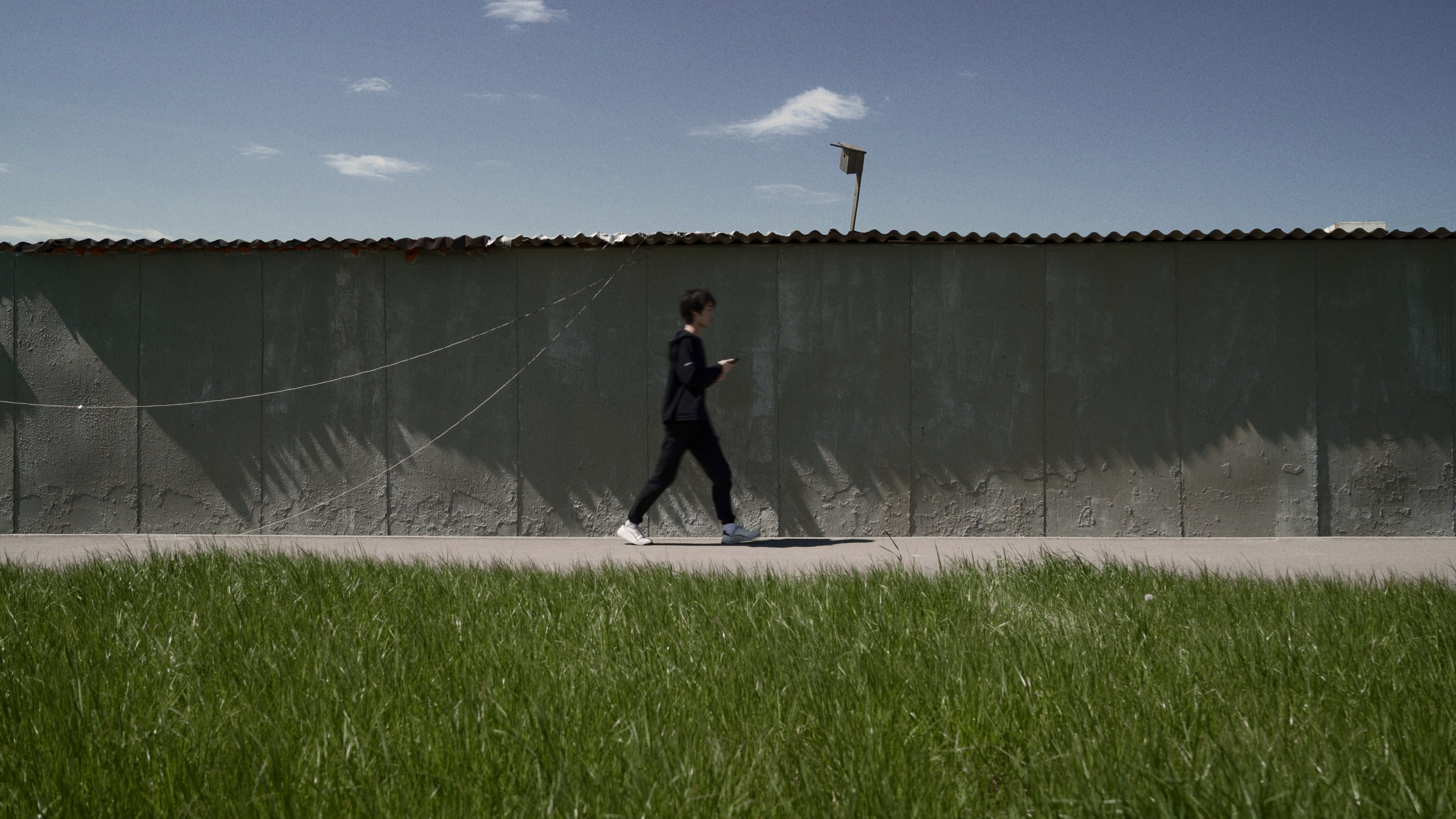 Несомненная достоверность сознания для самого себя. Иван Кобяков