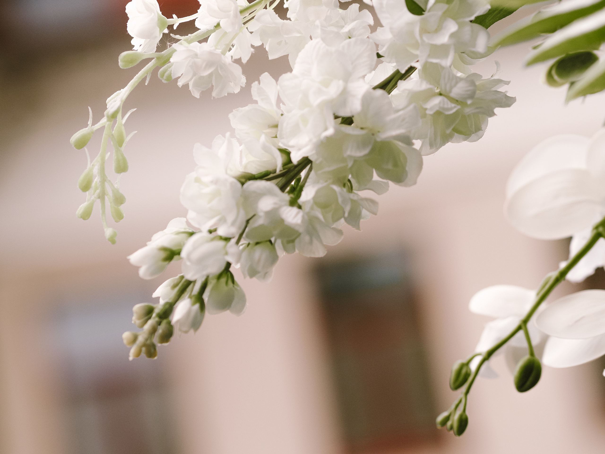 Михаил и Анастасия. Фотограф Рязань. Семейный Свадебный фотограф