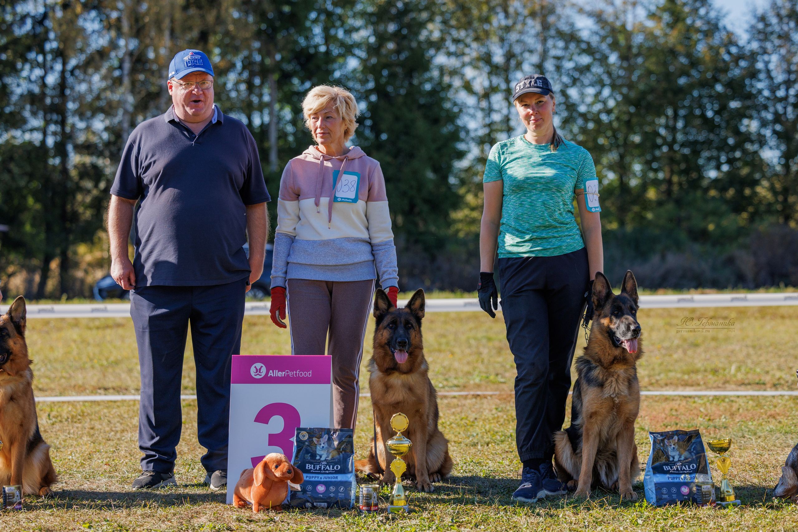 Тверь немецкие овчарки 22.09.2024. Фотограф-анималист Юлия Германика