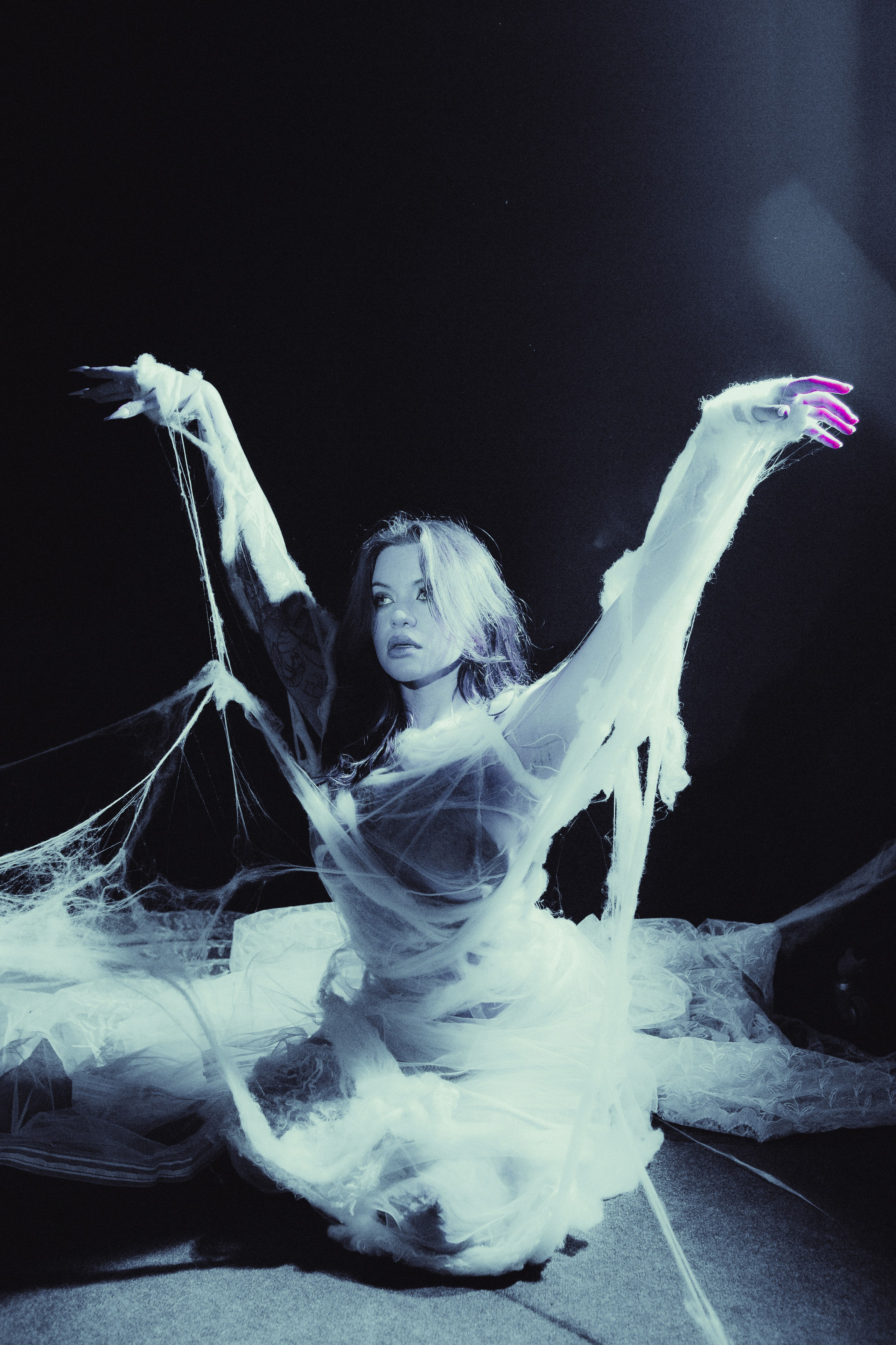 Diibae spider. Фотограф из Санкт-Петербурга Валерия Ленских