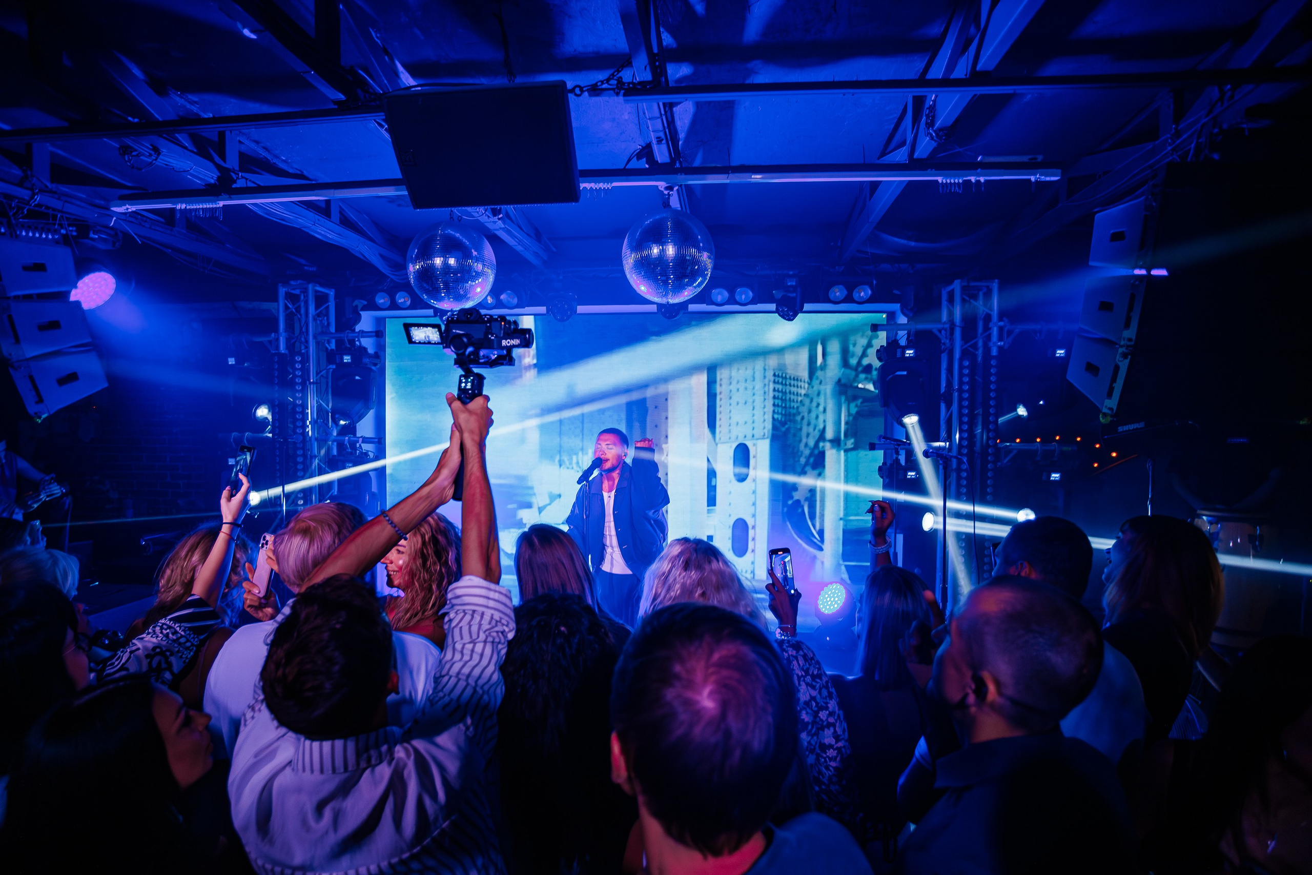 «LYRIQ"_Чайка на пляже_Ялта_15.08.2025 г. Аминов Руслан | Фотограф