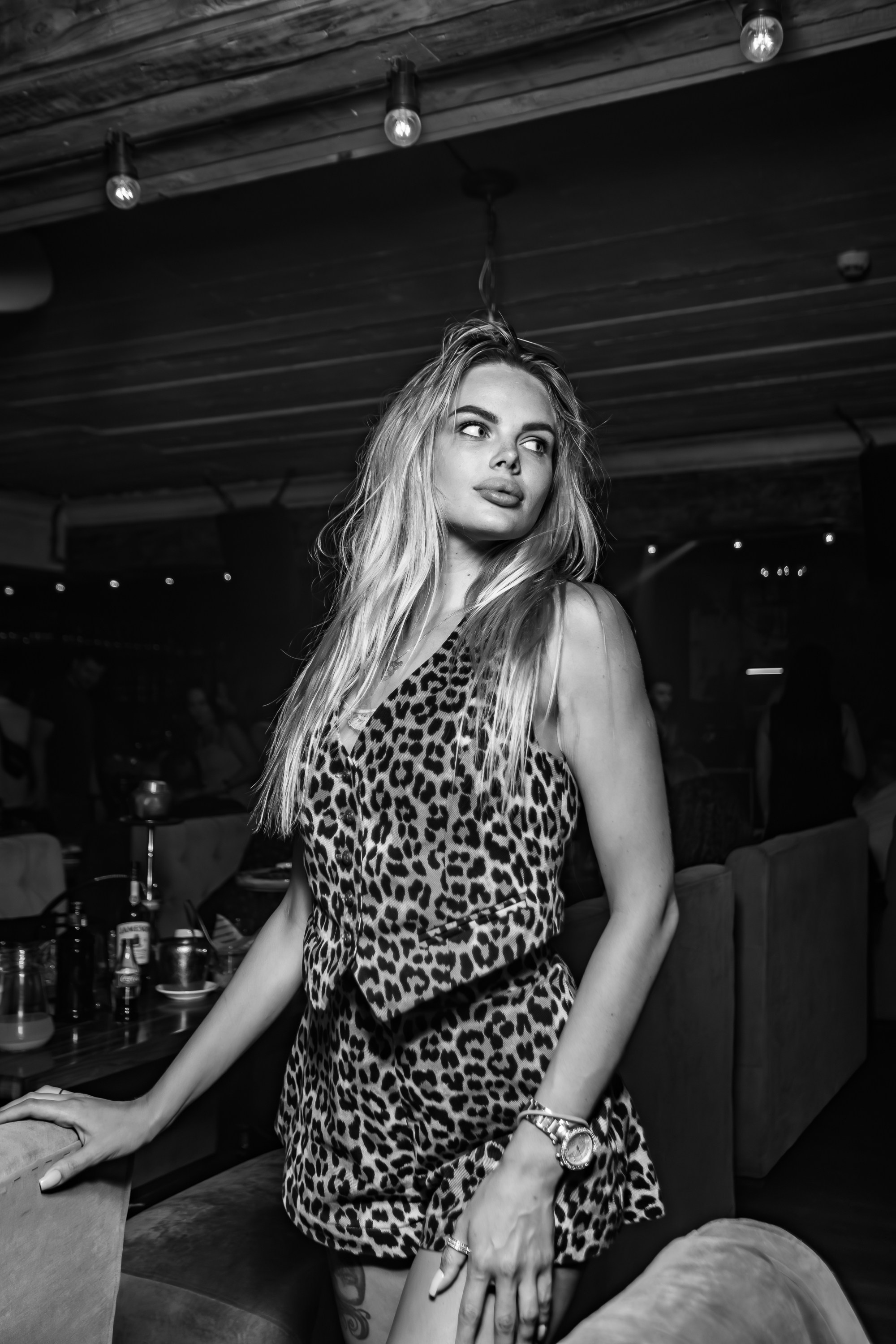 «Джиган"_Чайка на пляже_Ялта_12.07.2025 г. Аминов Руслан | Фотограф