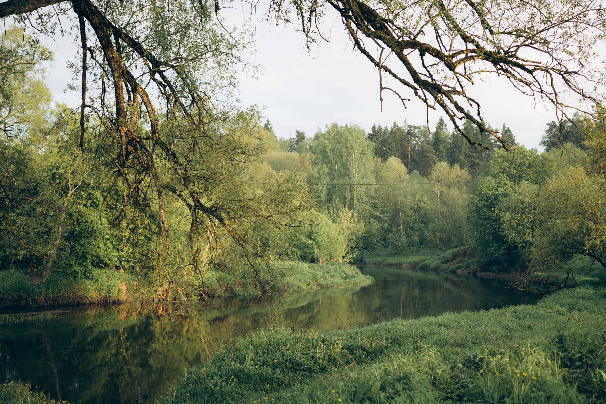 Istra. Женский фотограф Истра