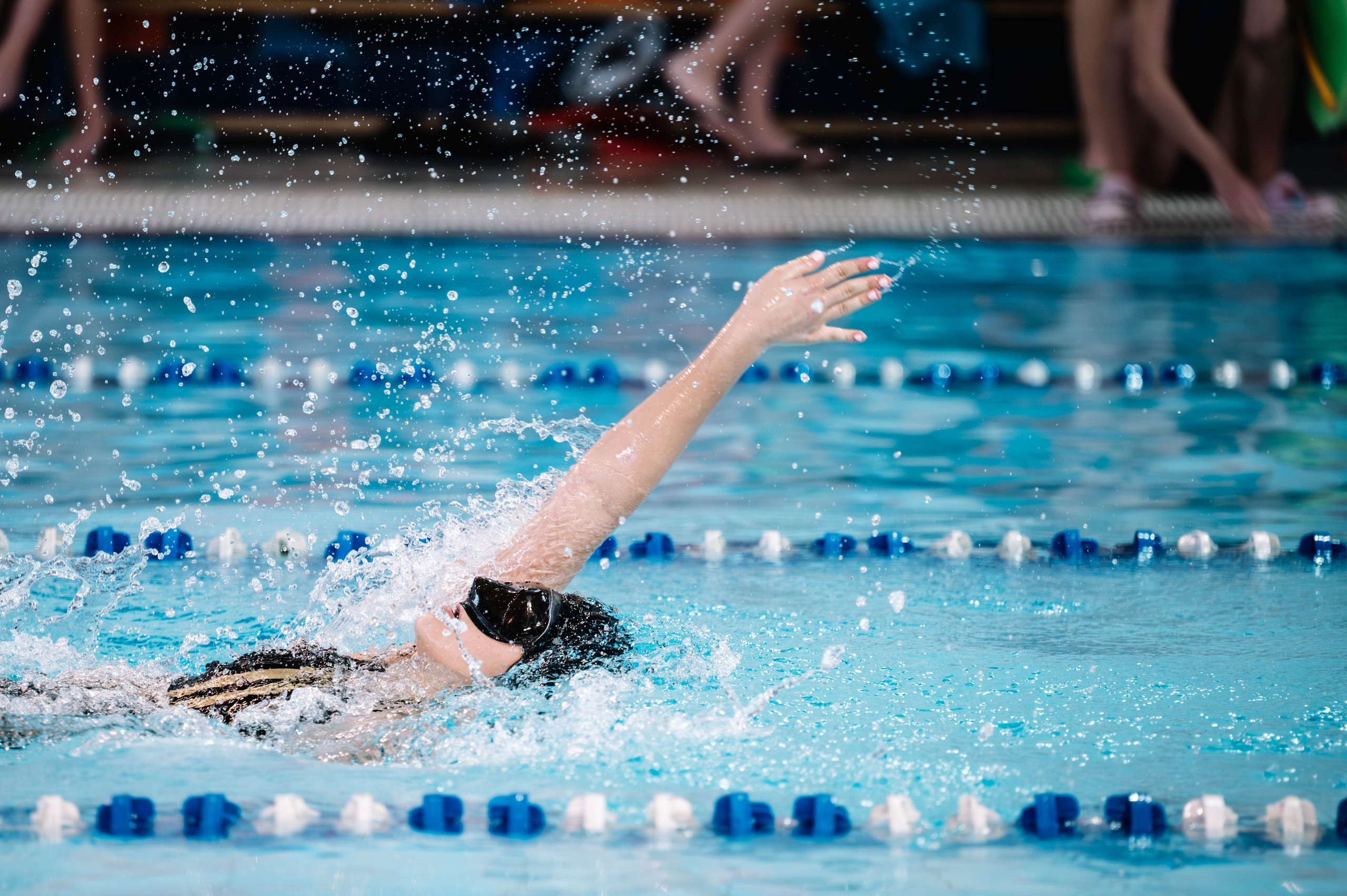Первый этап кубка плавания, Дельфин. Октябрь, 2024. Спортивный фотограф в Туле и Тульской области. Файсханова Фото Спорт
