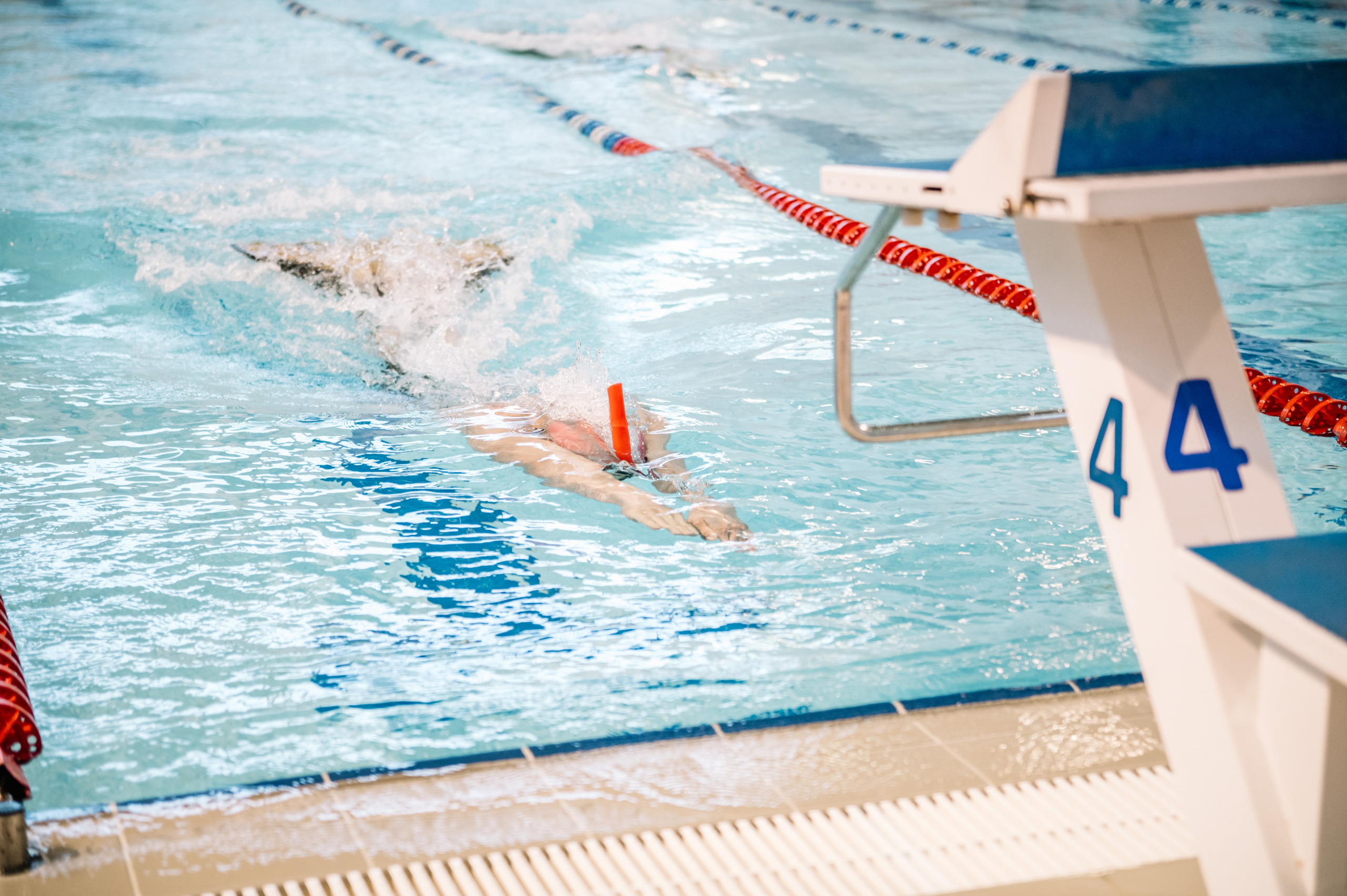 Финал кубка плавания ШП Дельфин, май 2024. Спортивный фотограф в Туле и Тульской области. Файсханова Фото Спорт