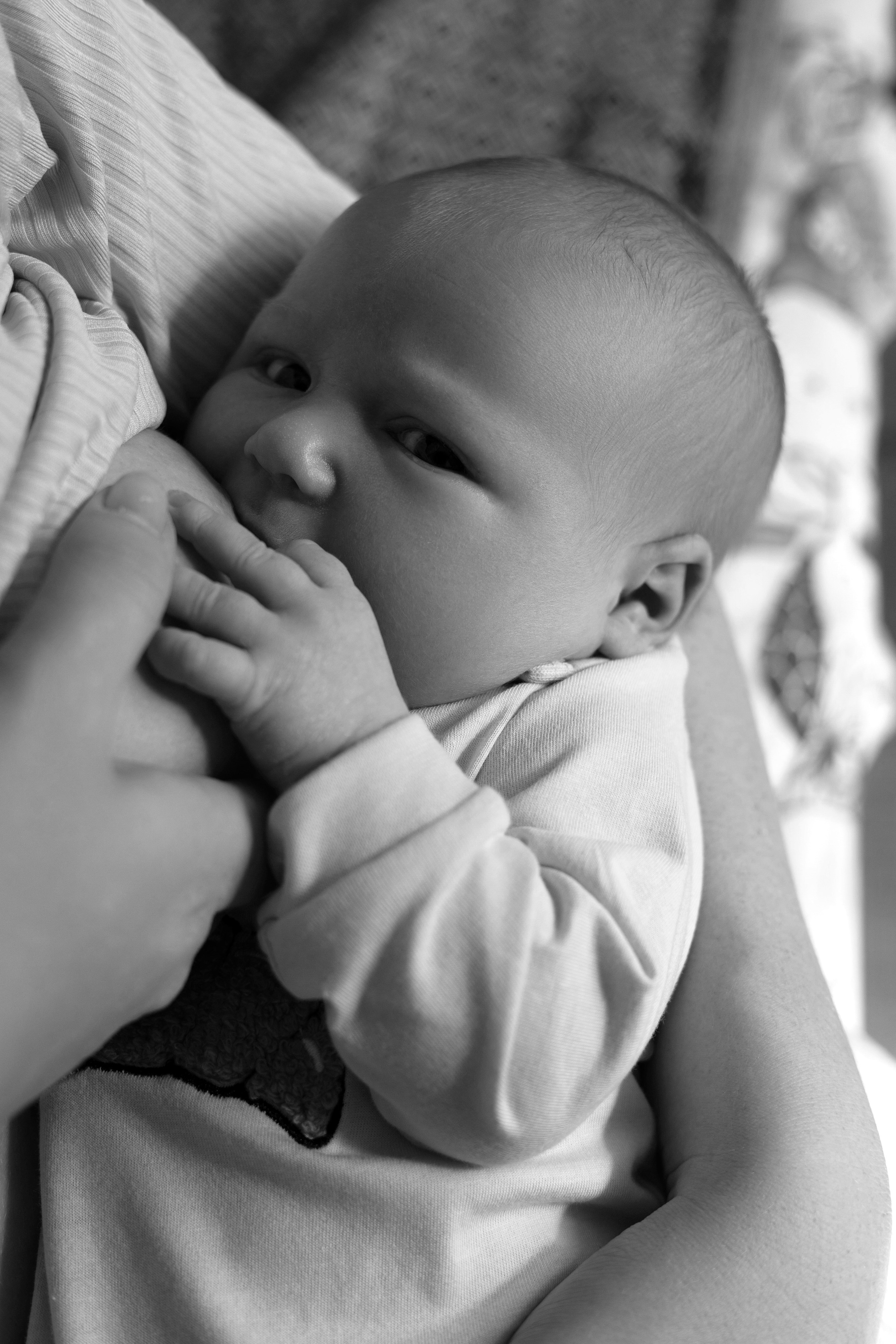 Мелисса. Фотограф Юлия Абдульмянова