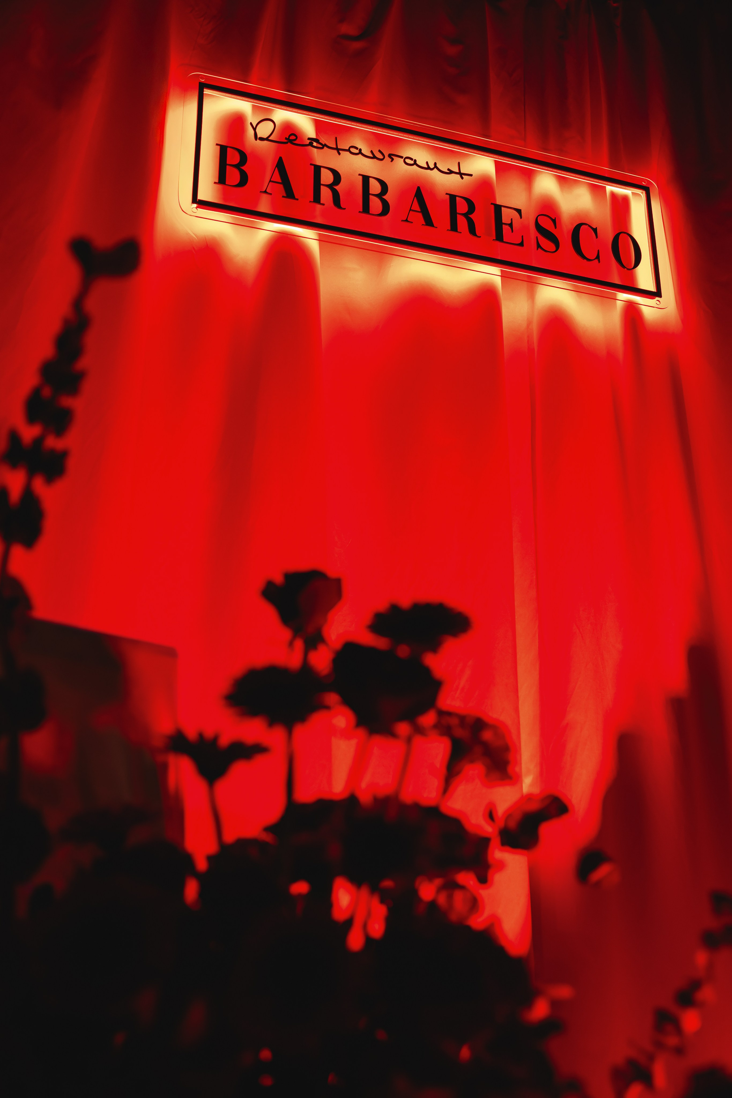 День рождения Barbaresco. Крылова Светлана Фотограф Челябинск