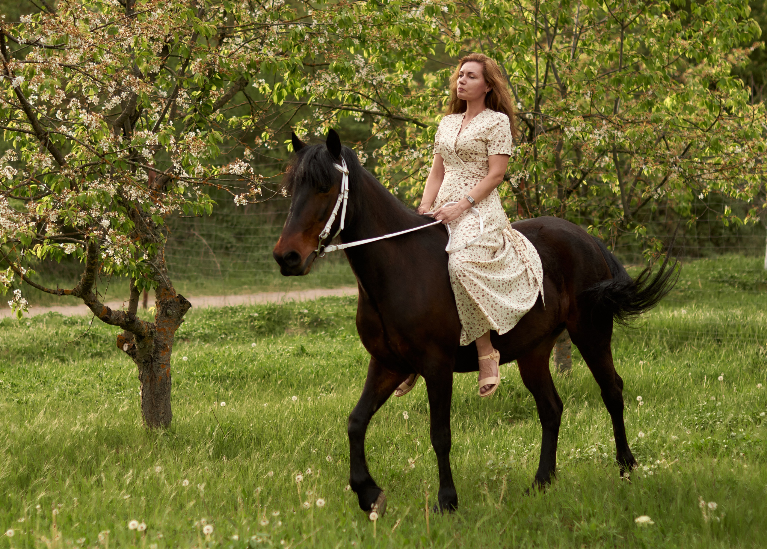Фотосессия с лошадью Севастополь. Фотограф в Севастополе