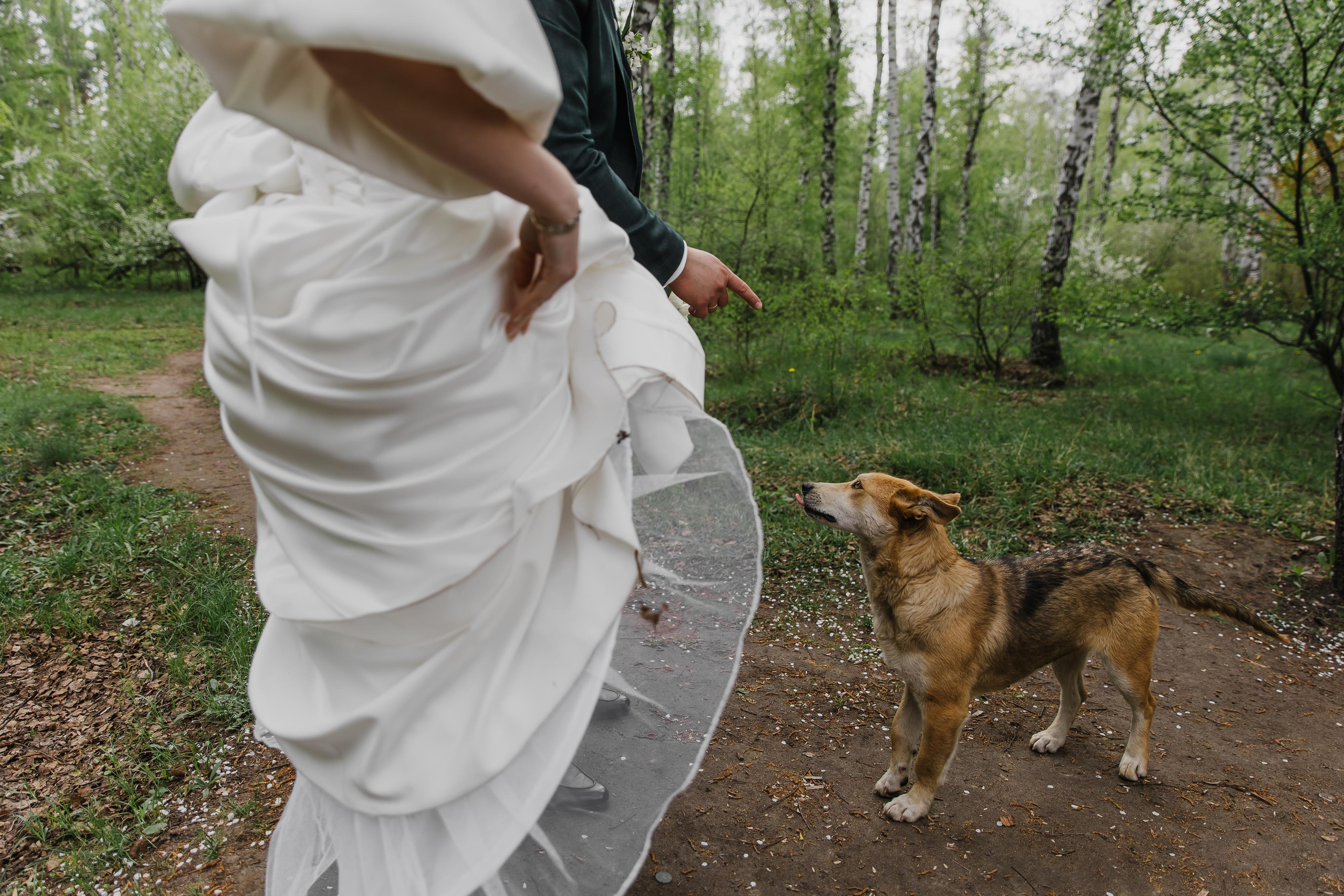 30.04.2022 Алёна и Антон. Kulneva Valeria