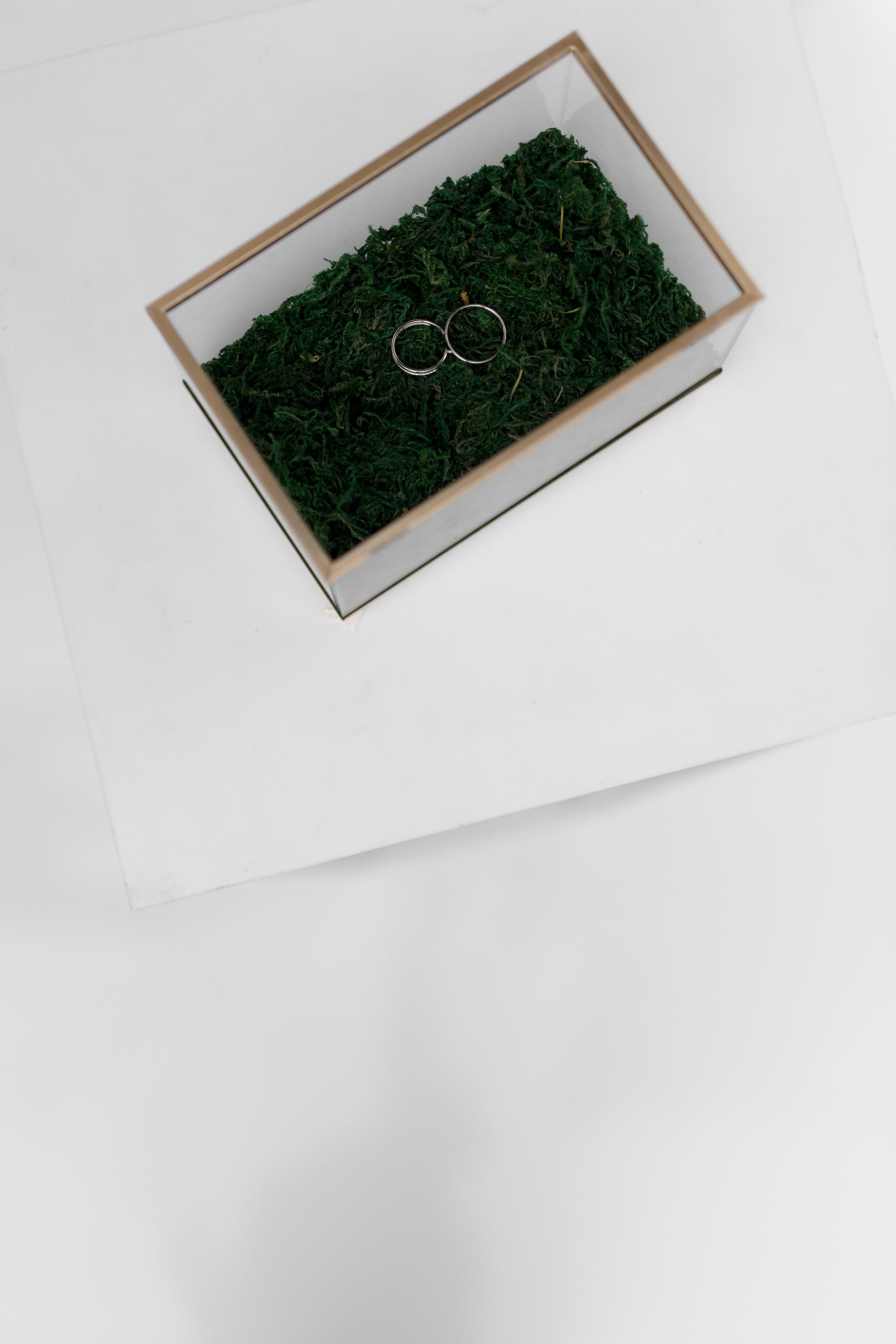 17.09.2022 Ксения и Дмитрий. Kulneva Valeria