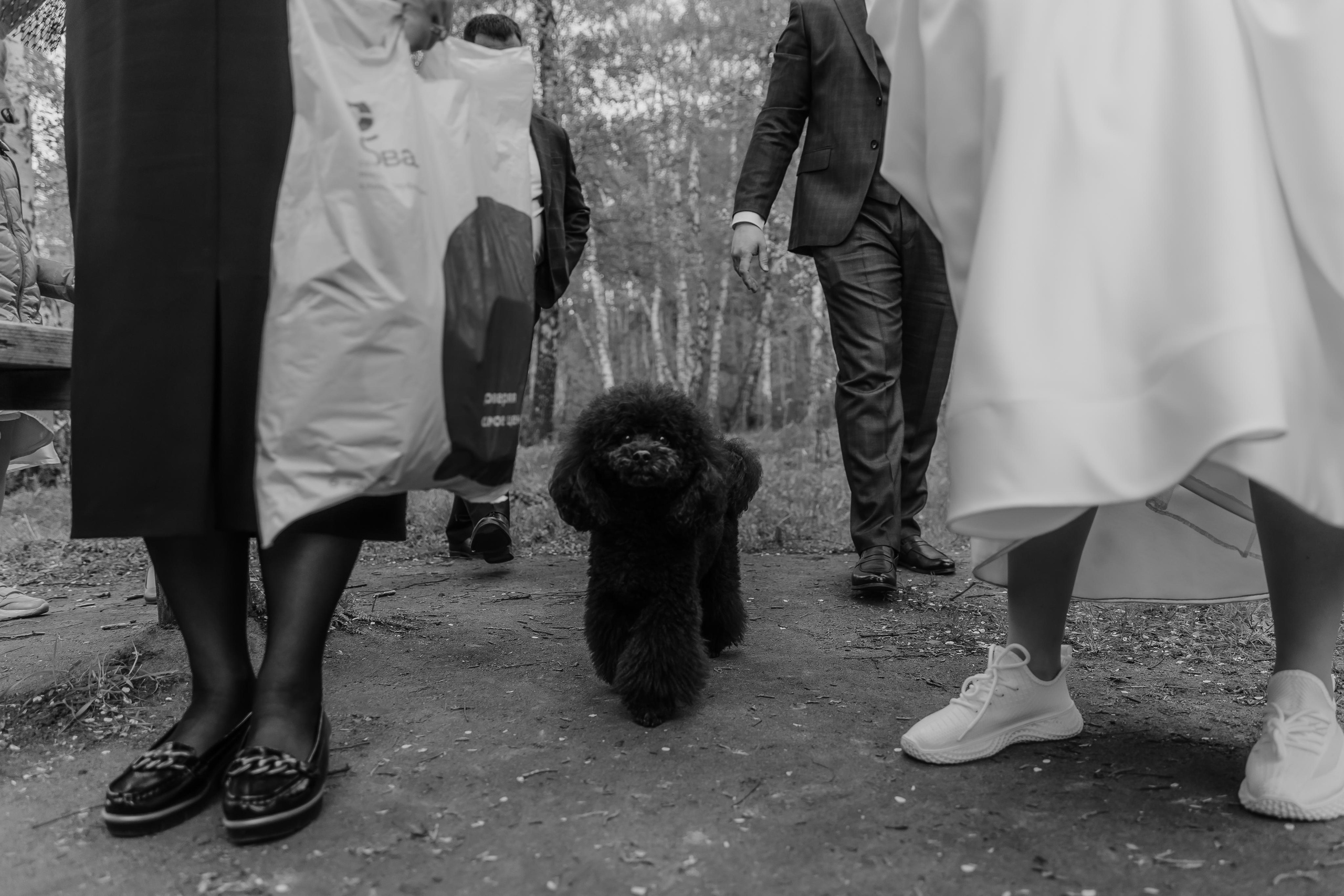 30.04.2022 Алёна и Антон. Kulneva Valeria