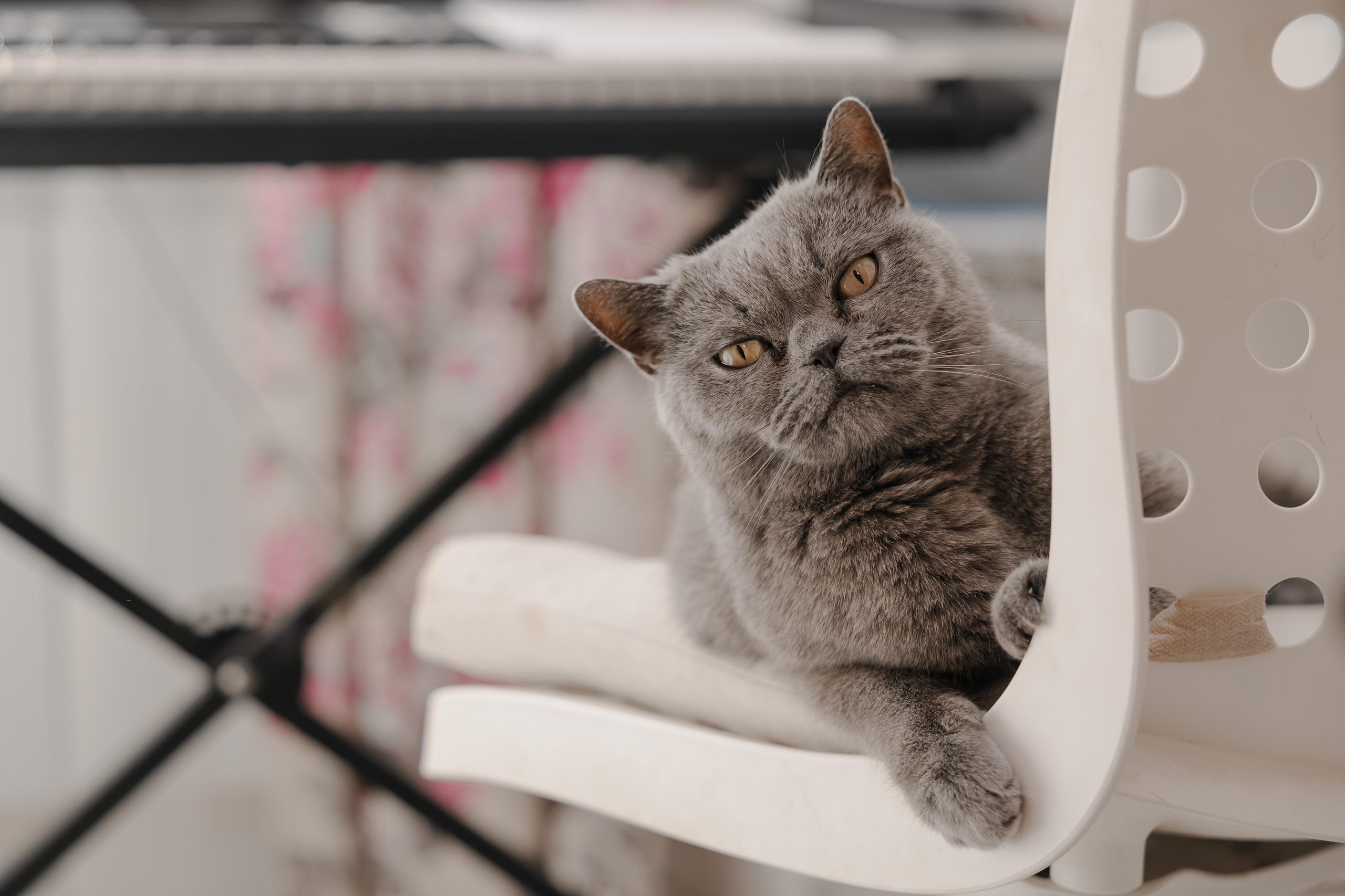 17.09.2022 Ксения и Дмитрий. Kulneva Valeria