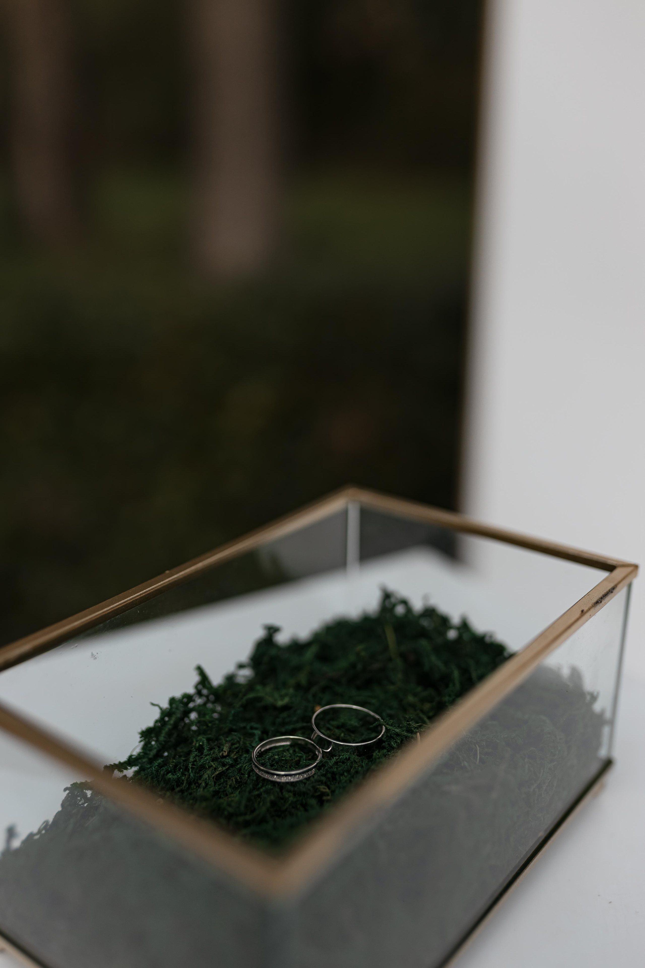 17.09.2022 Ксения и Дмитрий. Kulneva Valeria