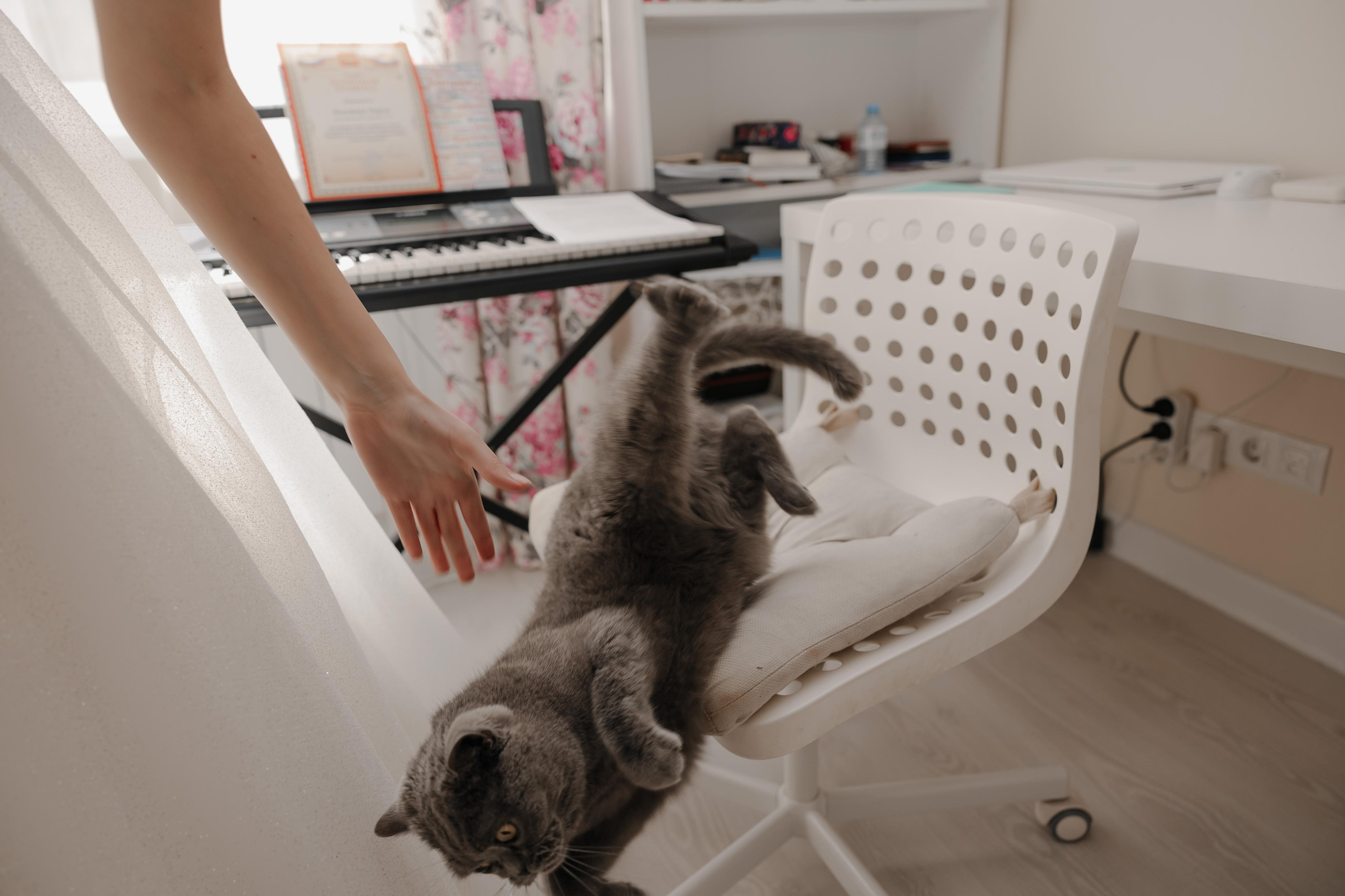 17.09.2022 Ксения и Дмитрий. Kulneva Valeria