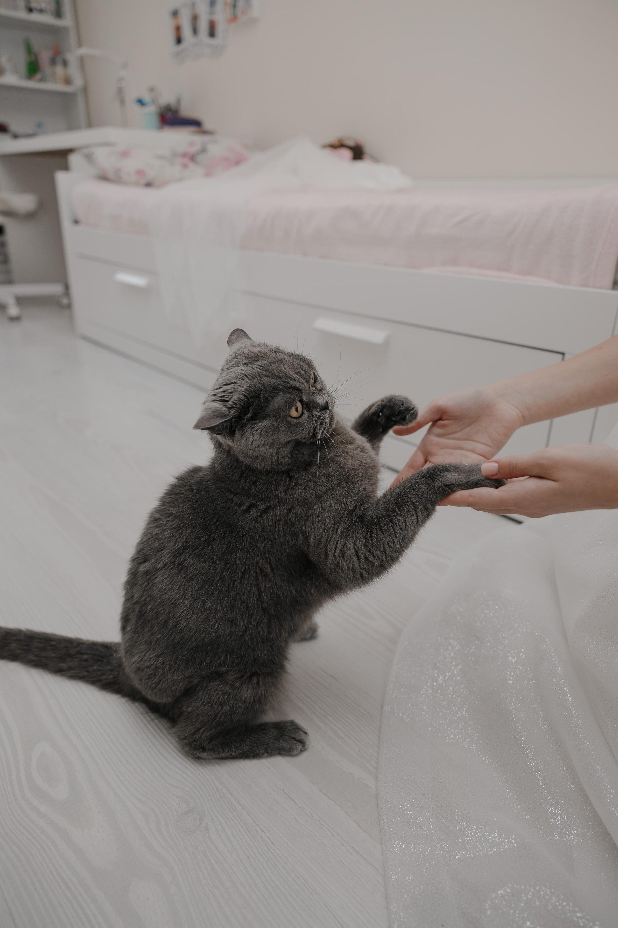 17.09.2022 Ксения и Дмитрий. Kulneva Valeria