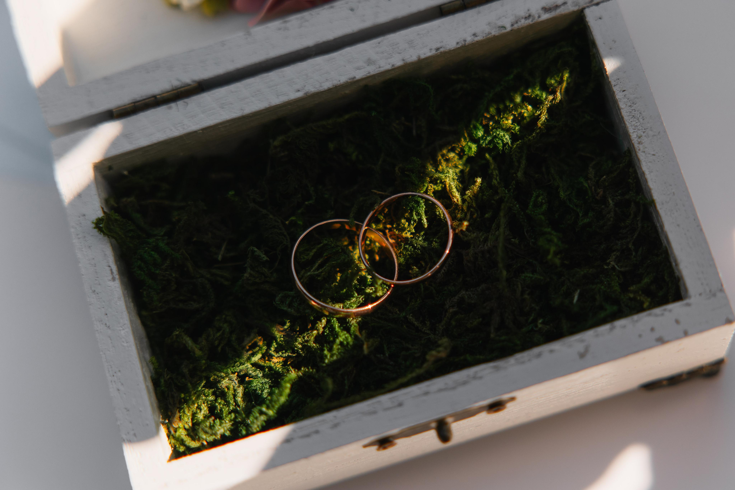 30.07.2022 Артём и Софья. Kulneva Valeria